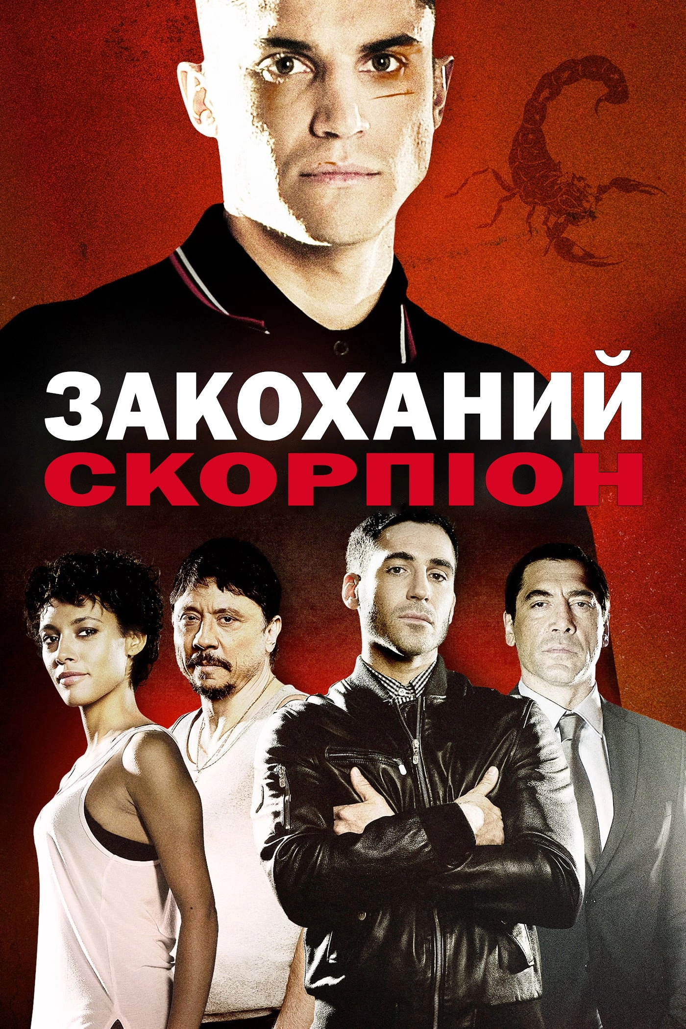 Scorpion in Love
