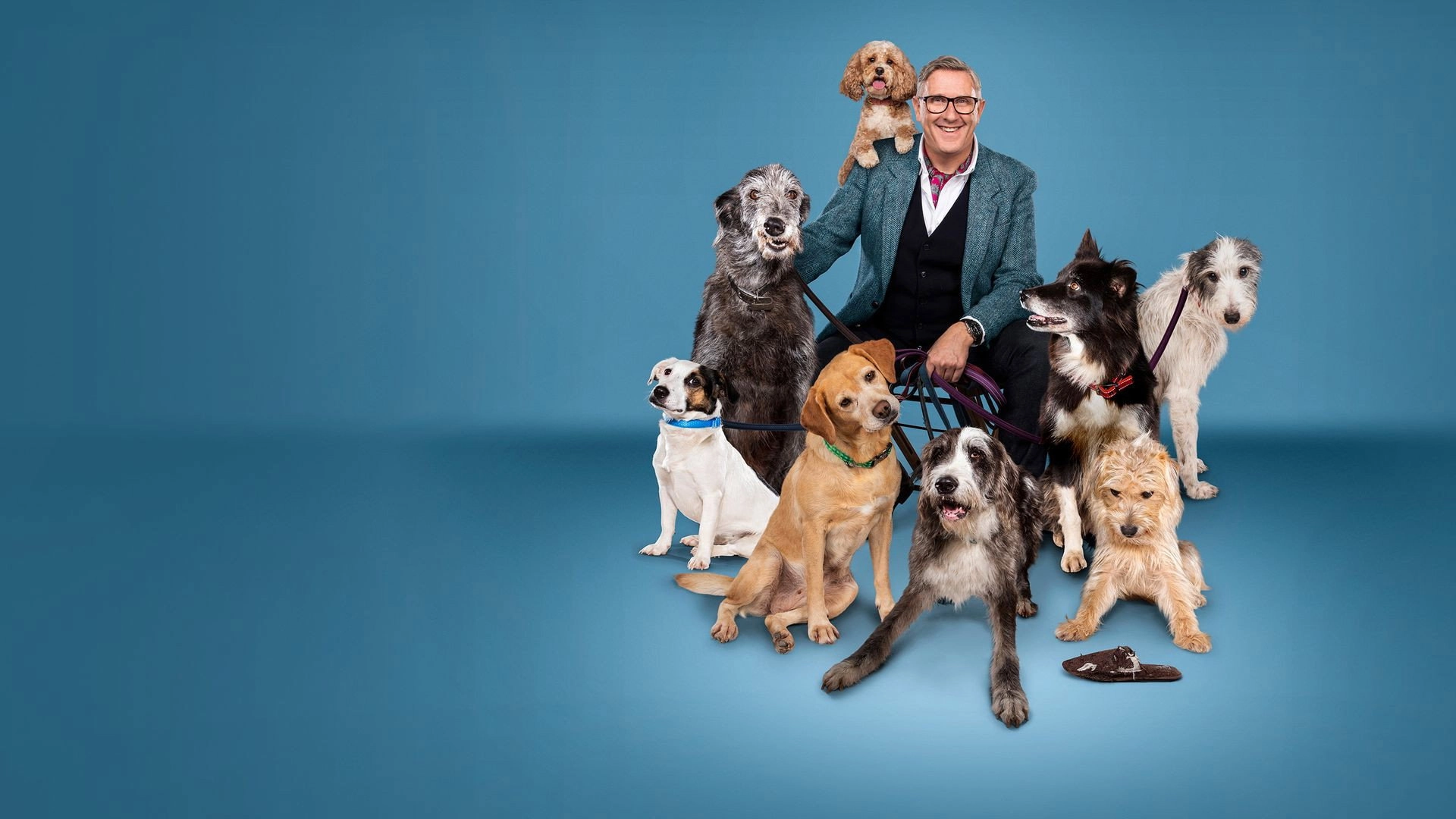 Dogs Behaving (Very) Badly