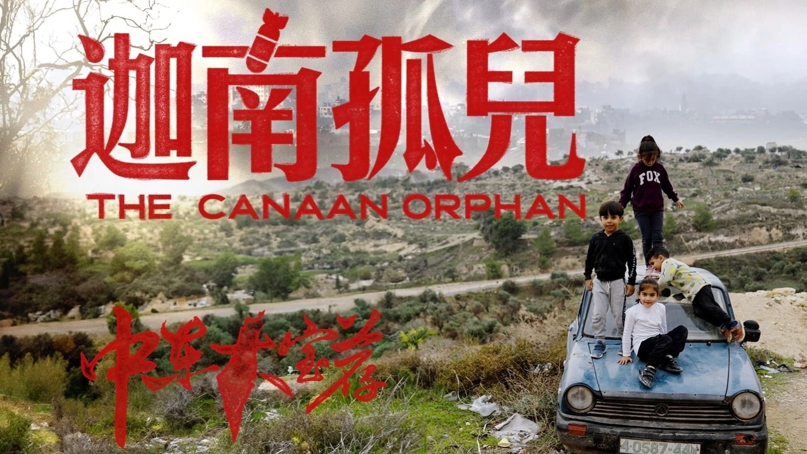 中东大宝荐
