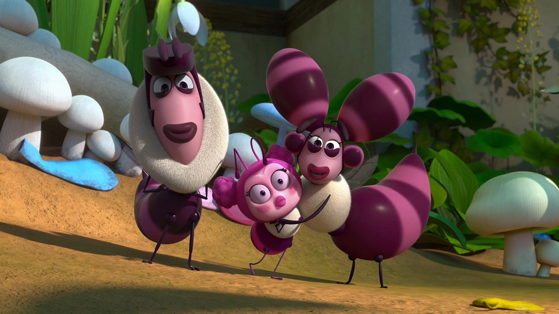 Larva Family
