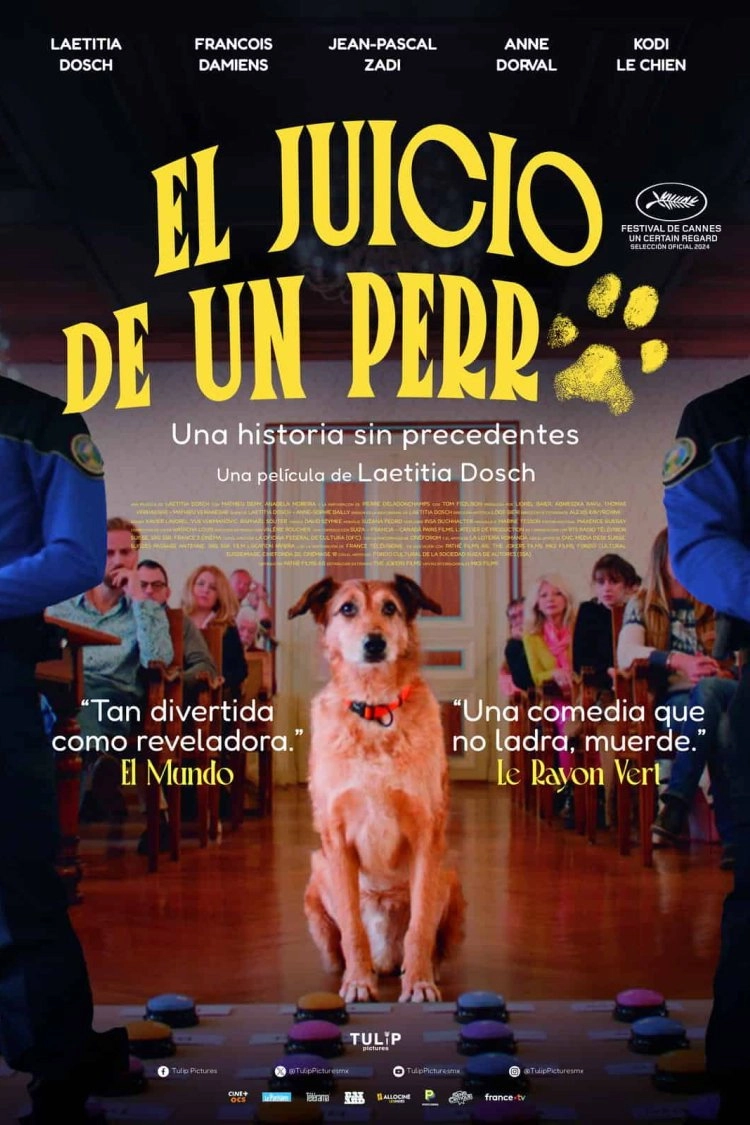 Dog on Trial