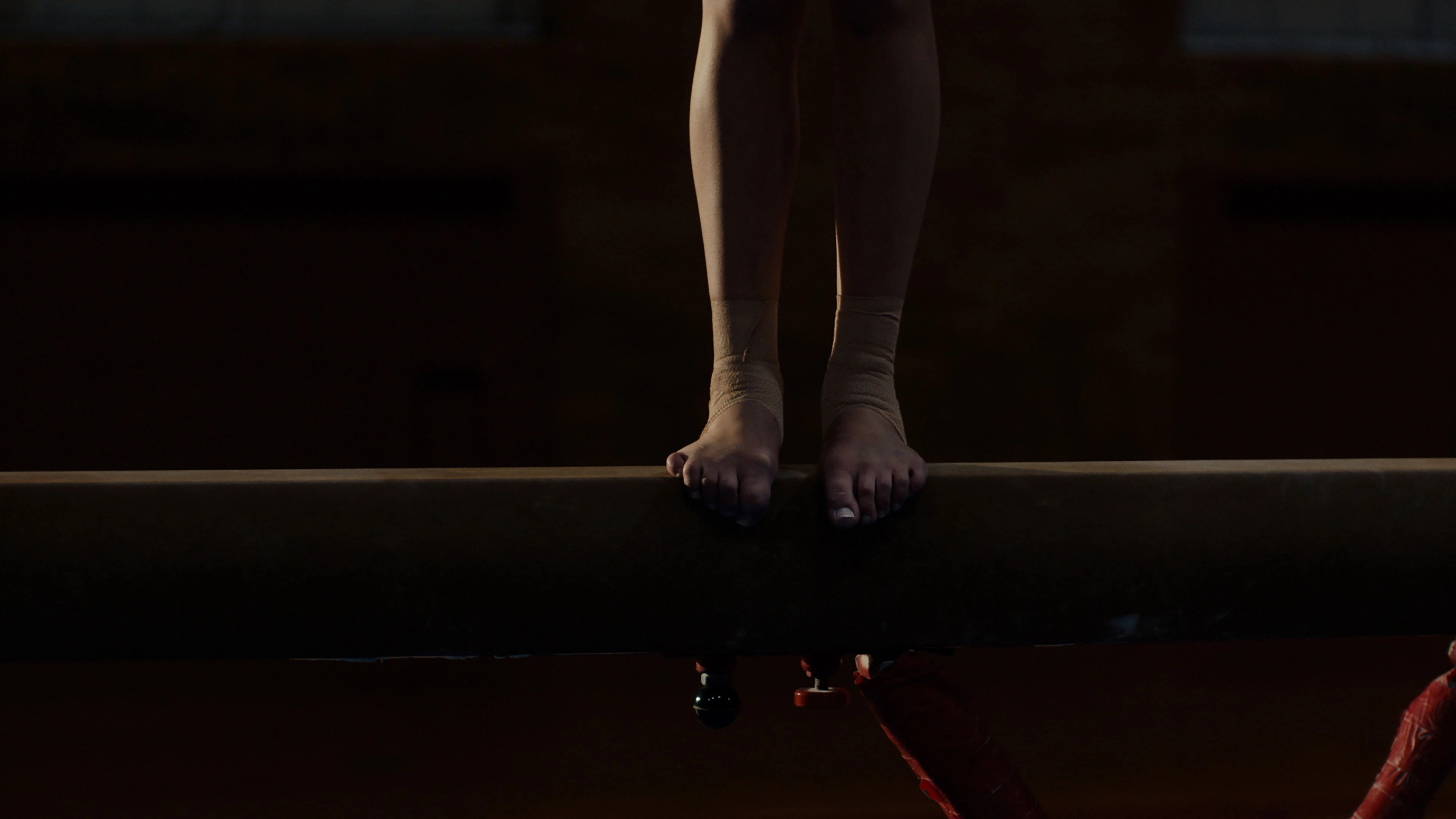 The Gymnast