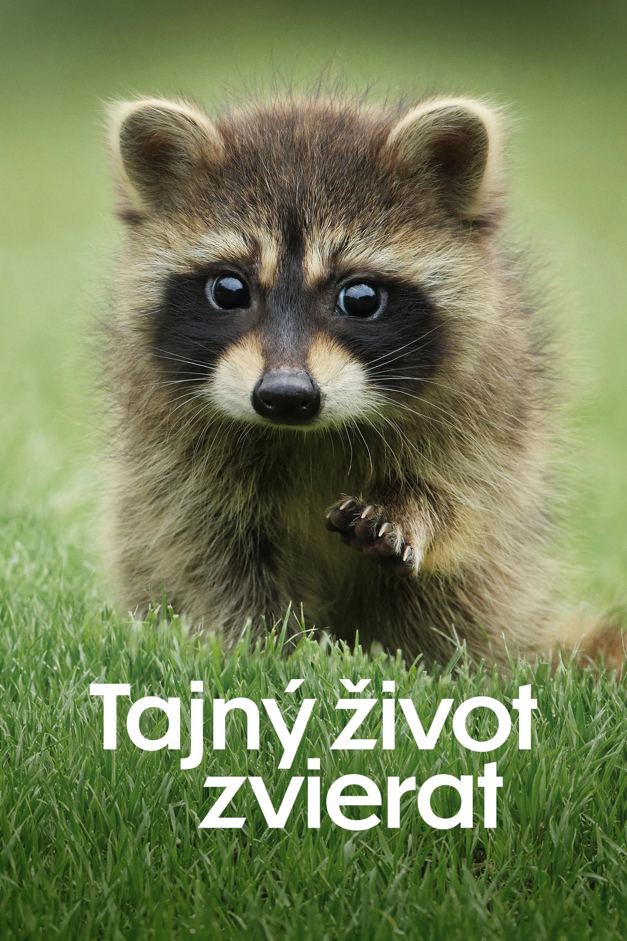 The Secret Lives of Animals