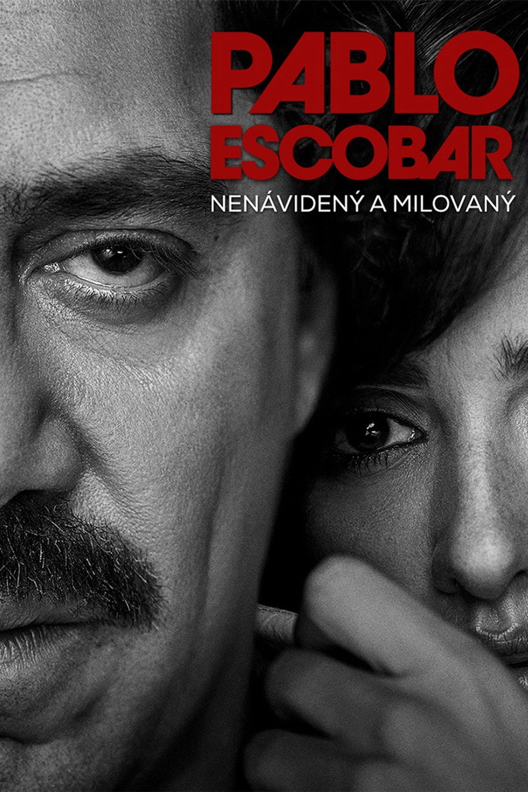 Loving Pablo