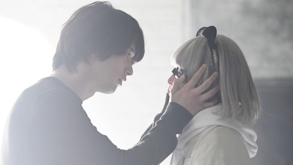 PANDA Judges the World