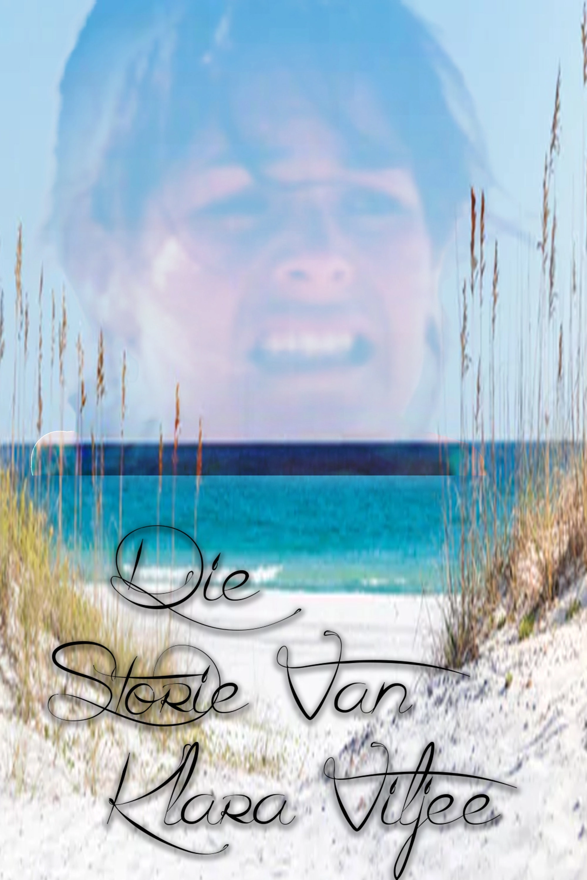 The Story of Klara Viljee
