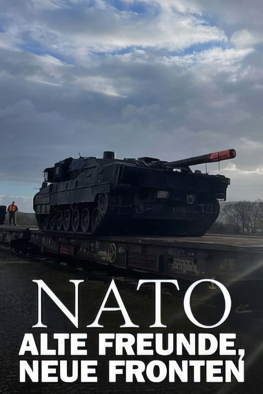 Putin, NATO, and Europe