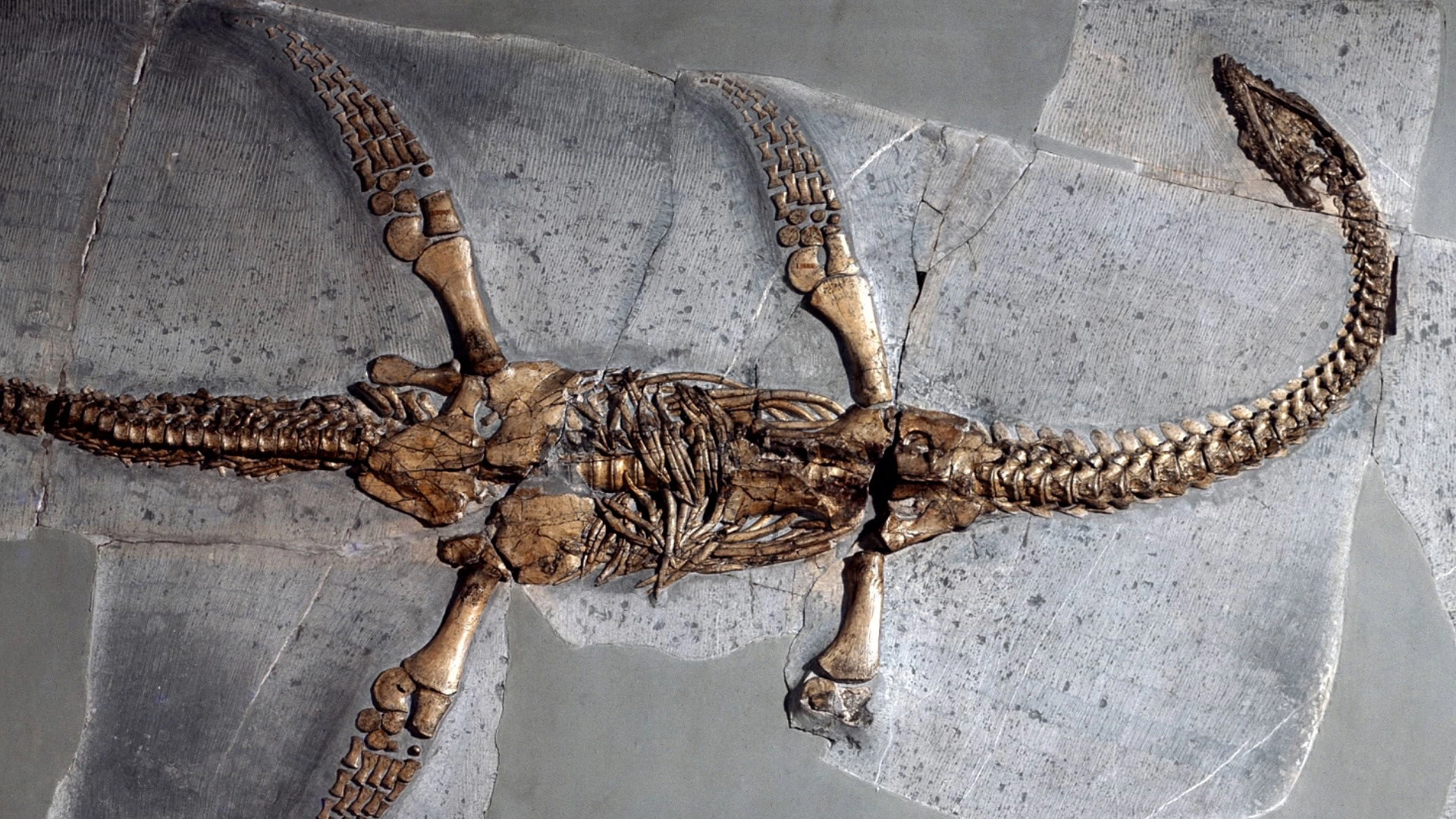 History's Greatest Mysteries
