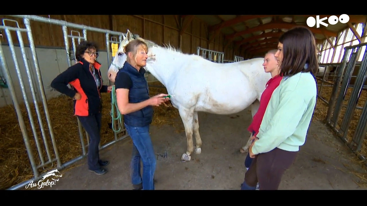 Au galop ! une saison à cheval