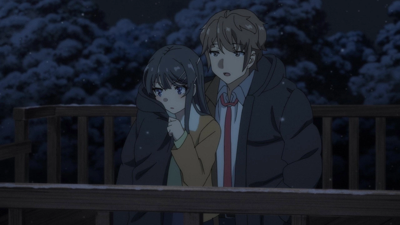 Rascal Does Not Dream of Bunny Girl Senpai