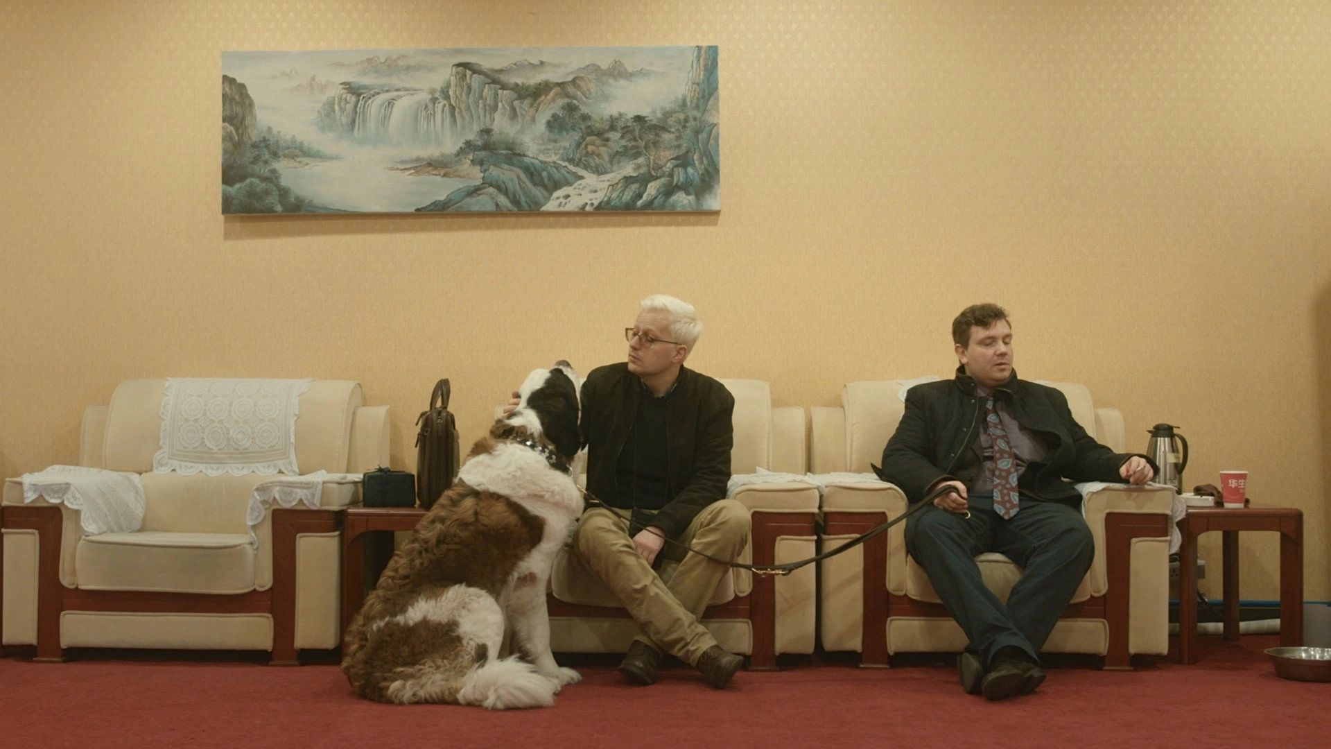 The Saint Bernard Syndicate