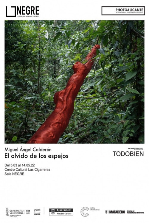 El olvido de los espejos