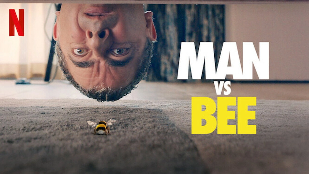 Man vs Bee