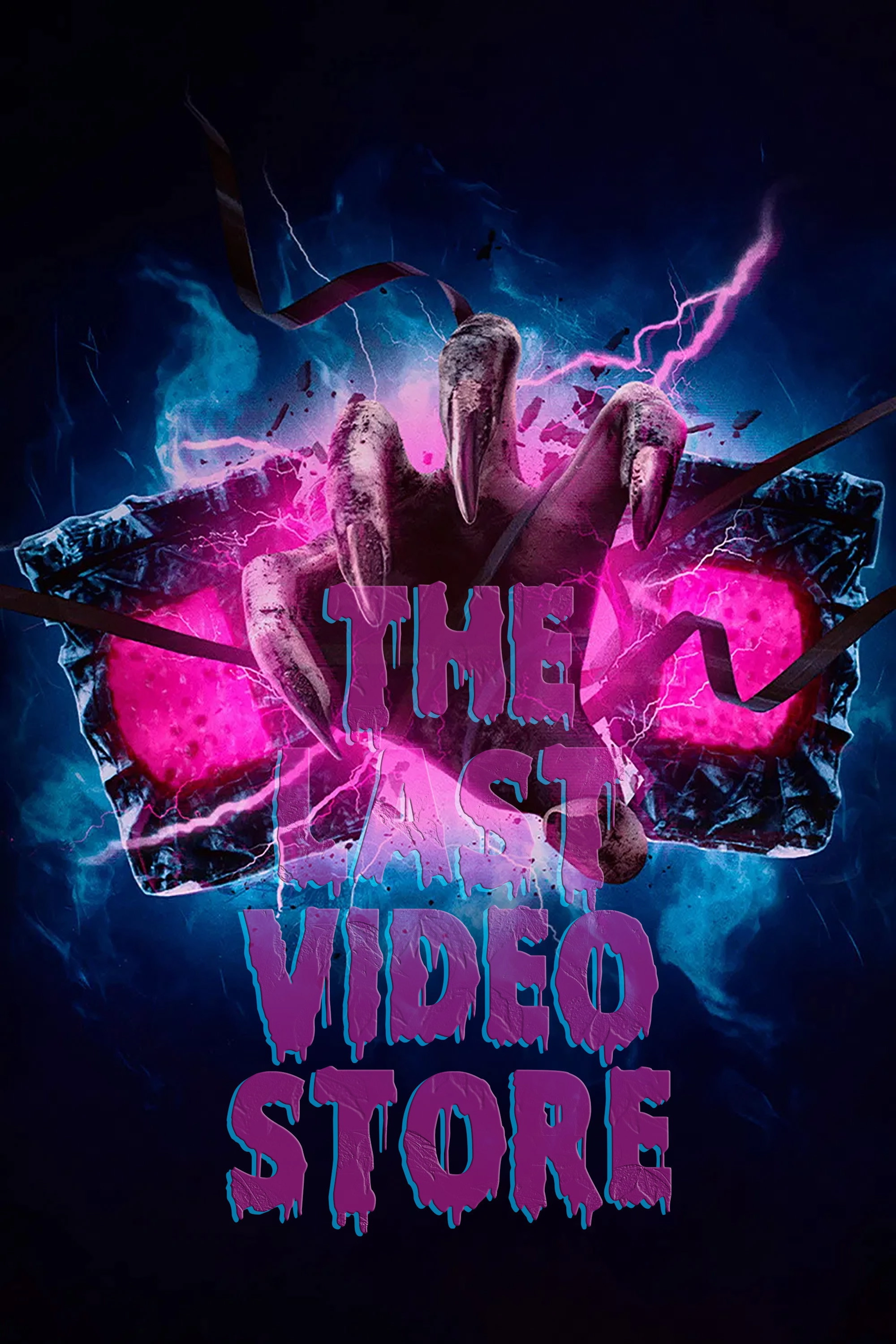 The Last Video Store