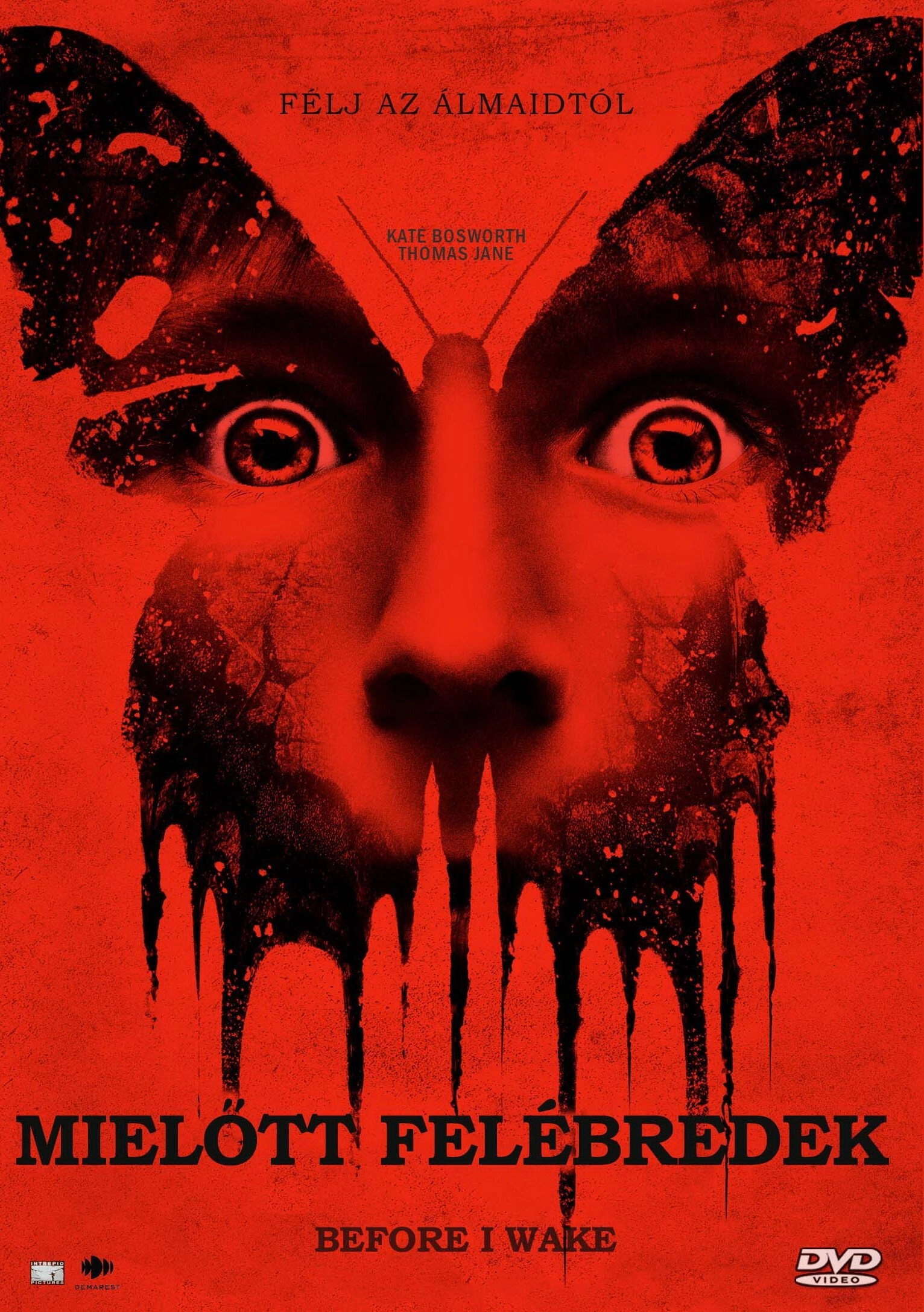 Before I Wake