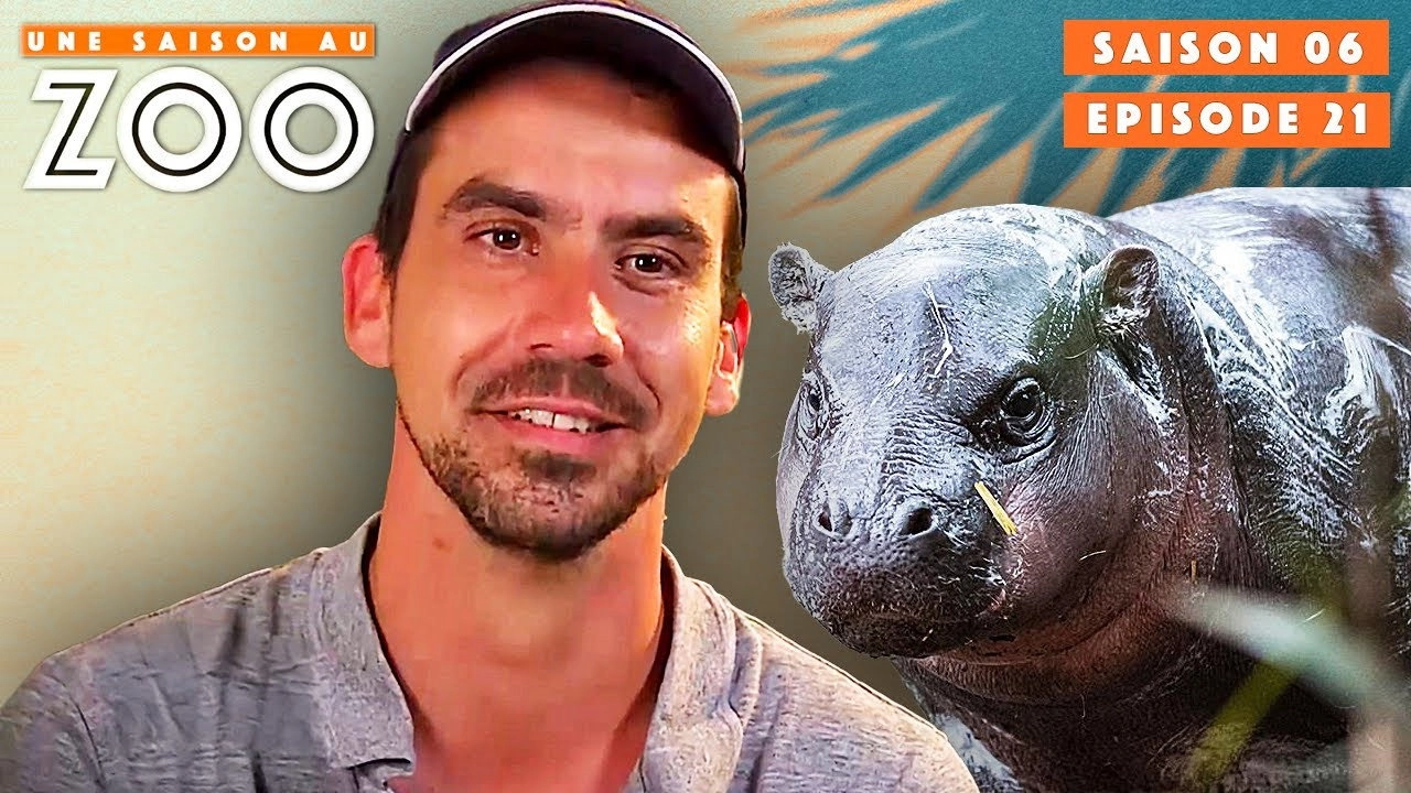 Une saison au zoo