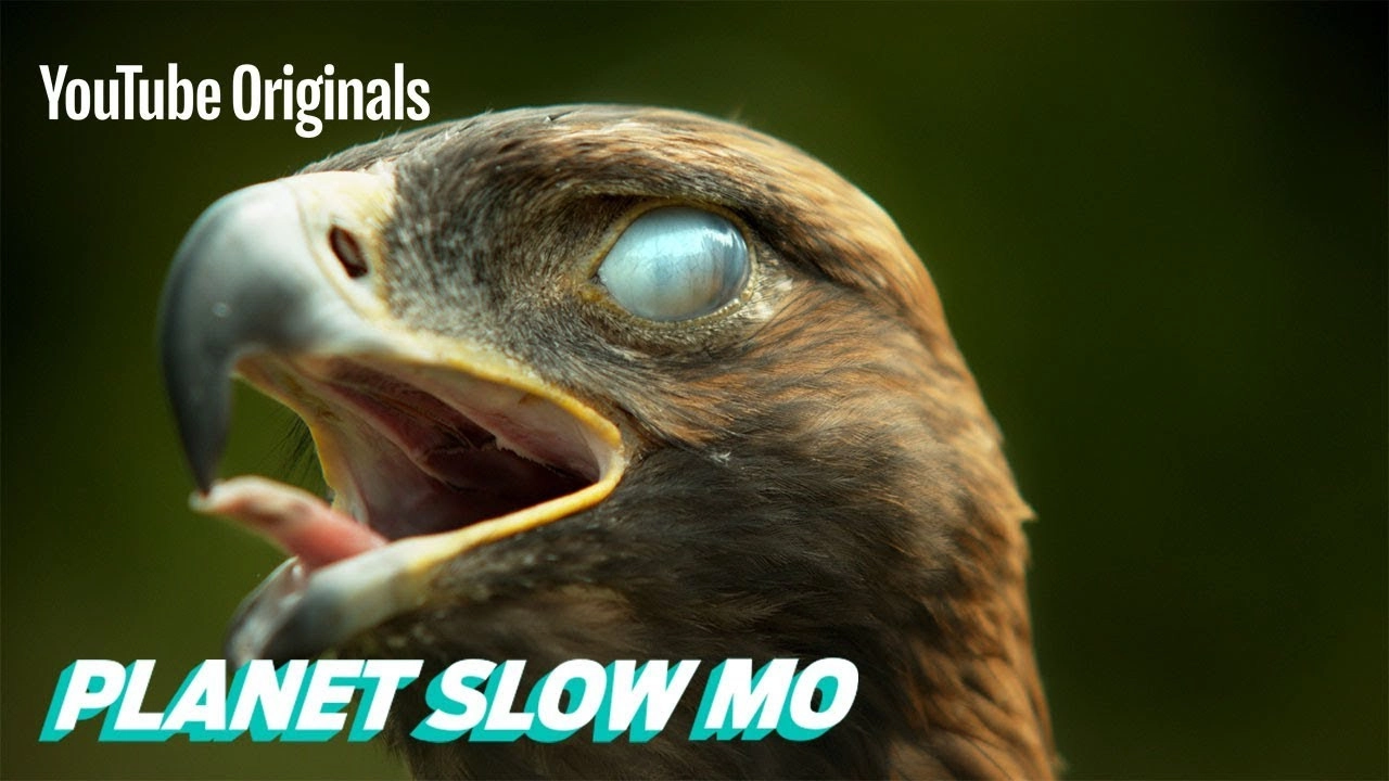 Planet Slow Mo
