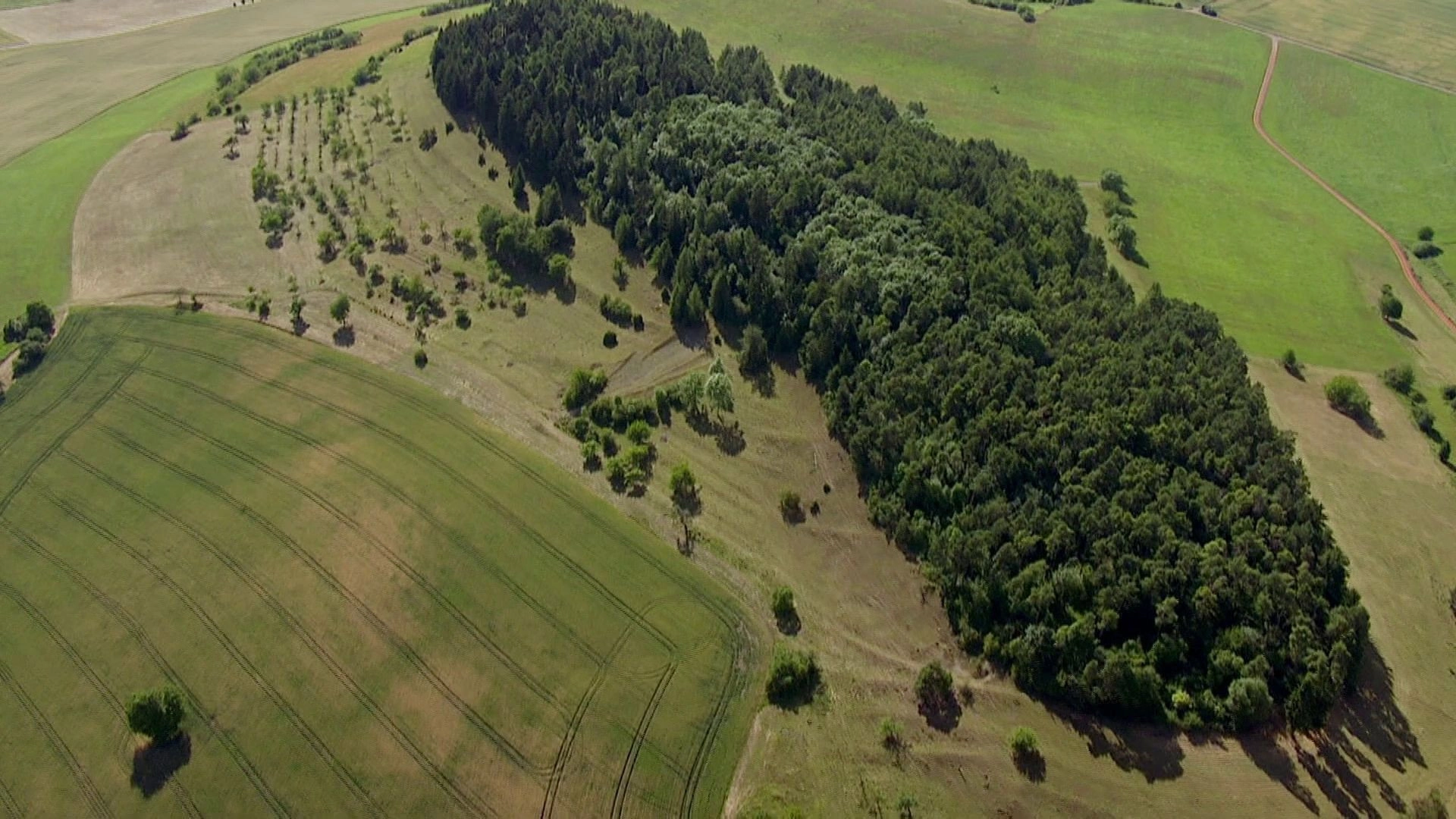 Wild Germany