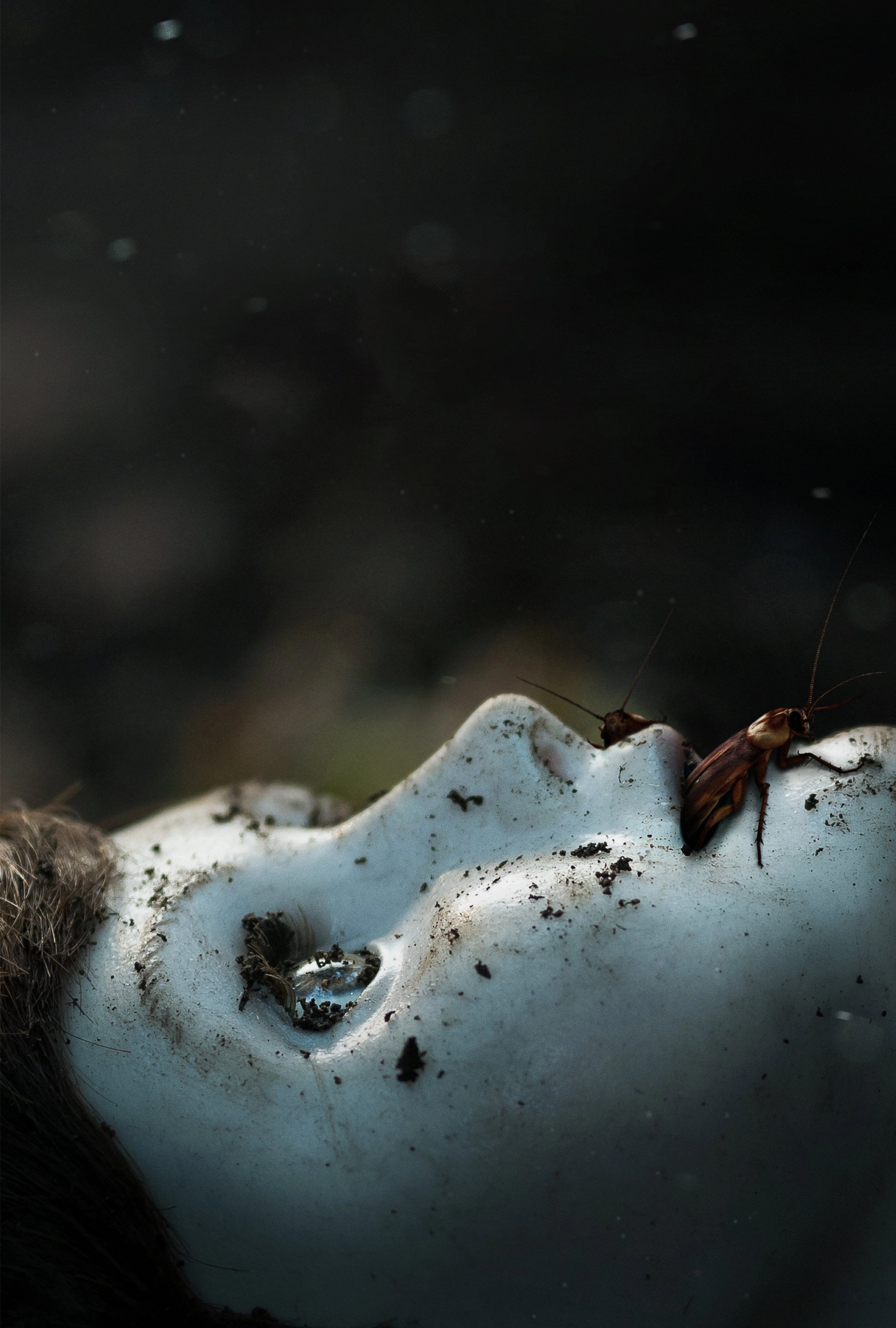 Brahms: The Boy II