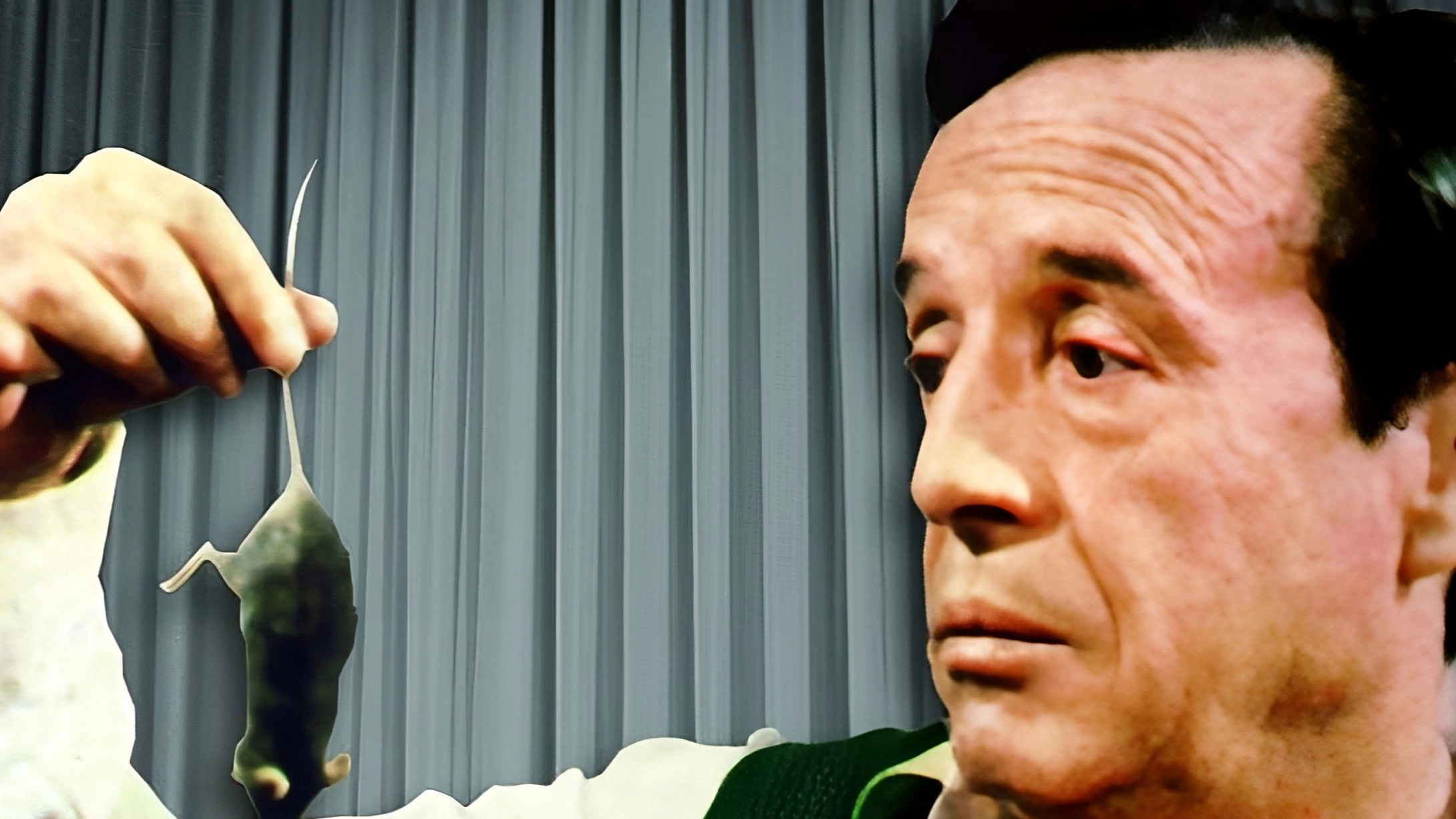 Don Ratón y Don Ratero