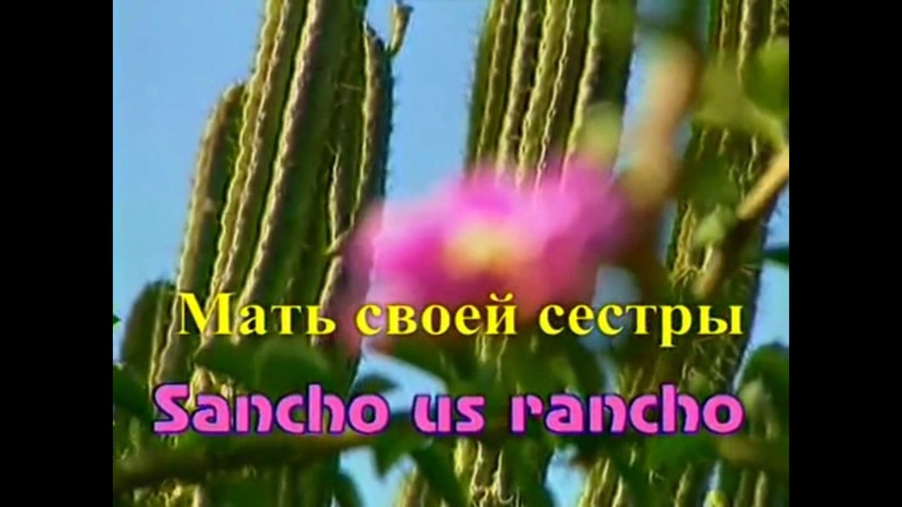 Sancho From the Ranch
