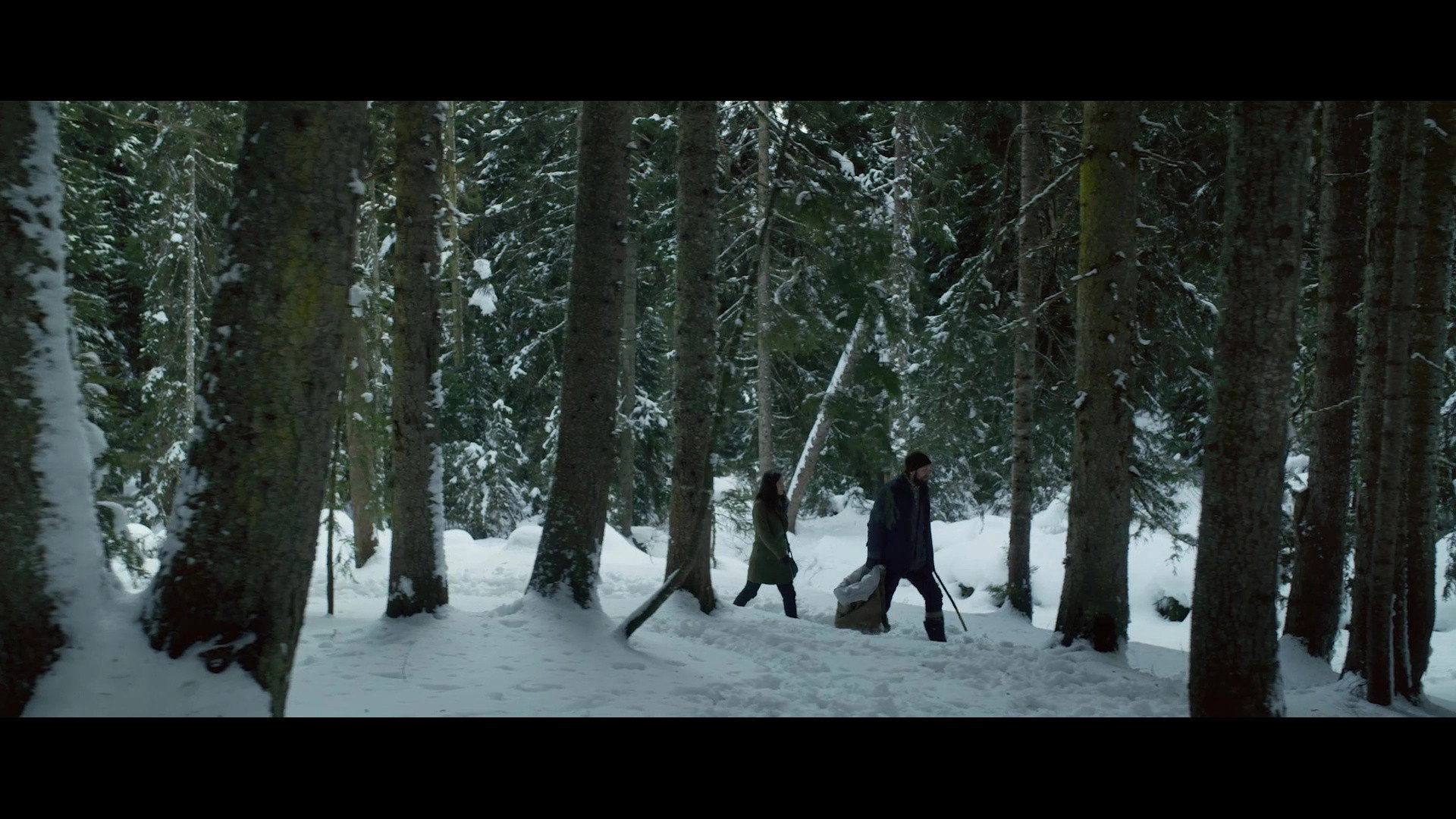 Snow and the Bear