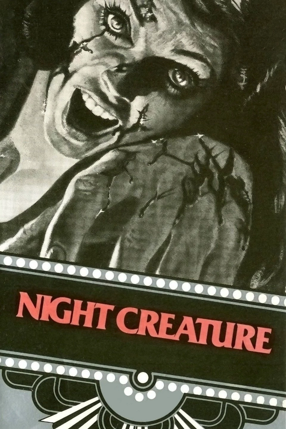 Night Creature