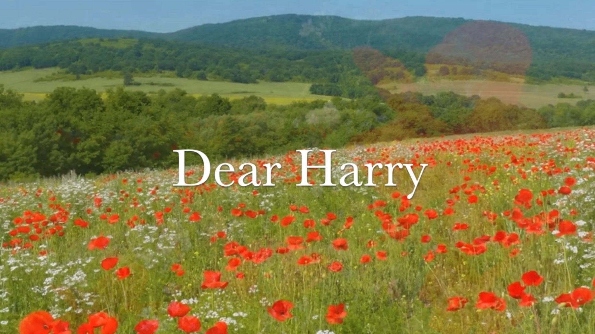 Dear Harry