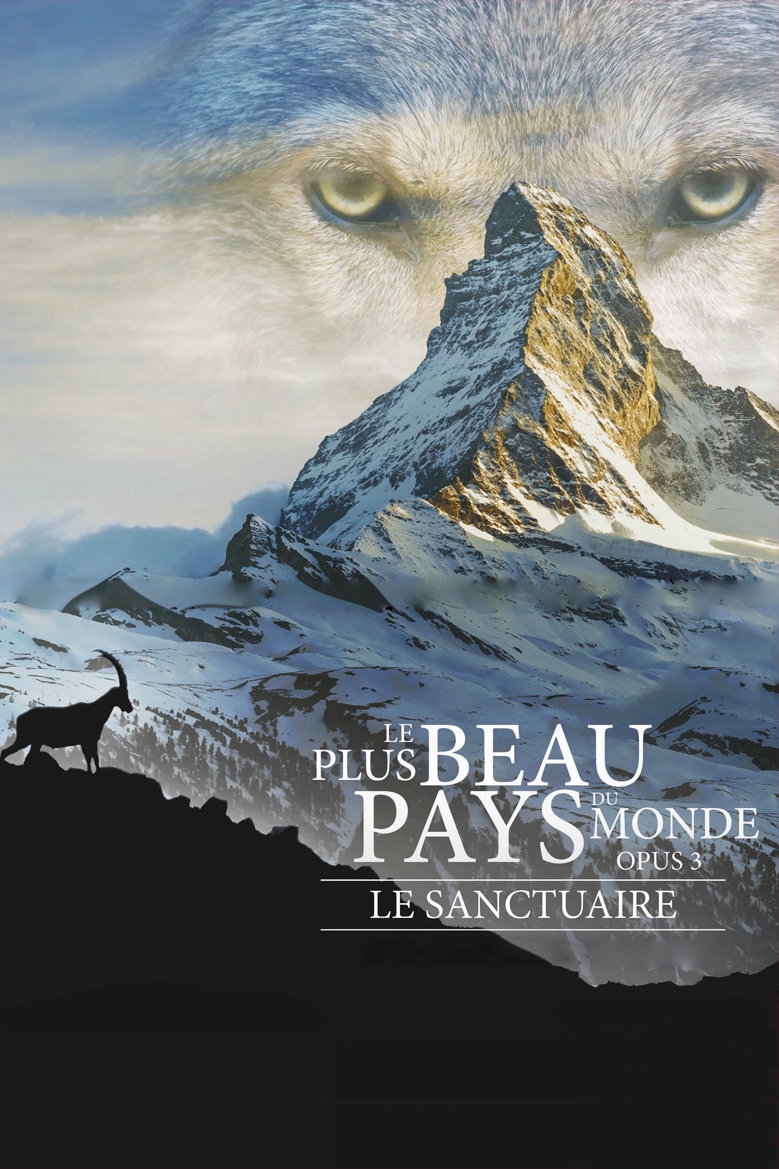 The Sanctuary: Survival Stories of the Alps