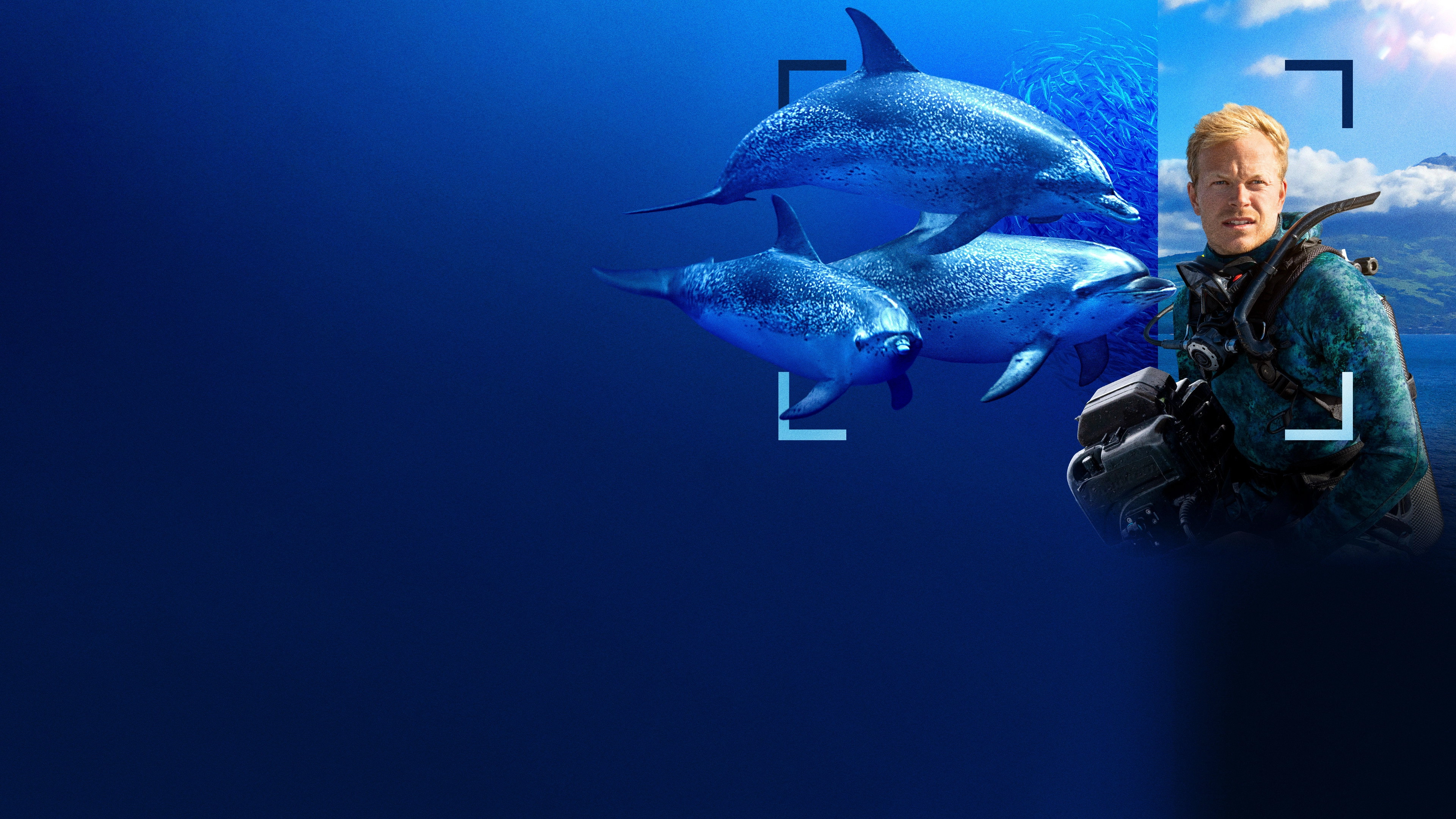 Dolphins Up Close with Bertie Gregory