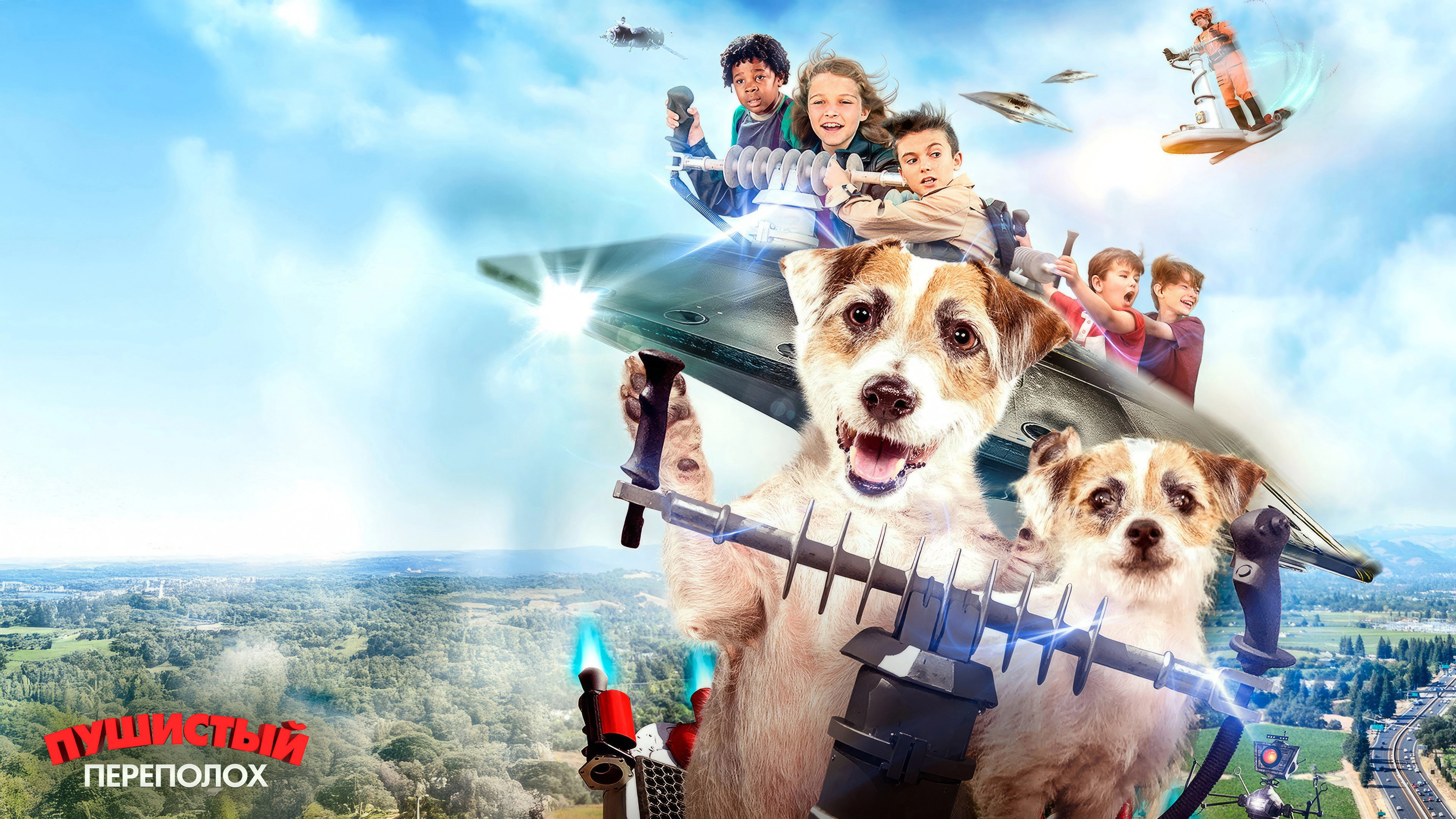 A Doggone Adventure