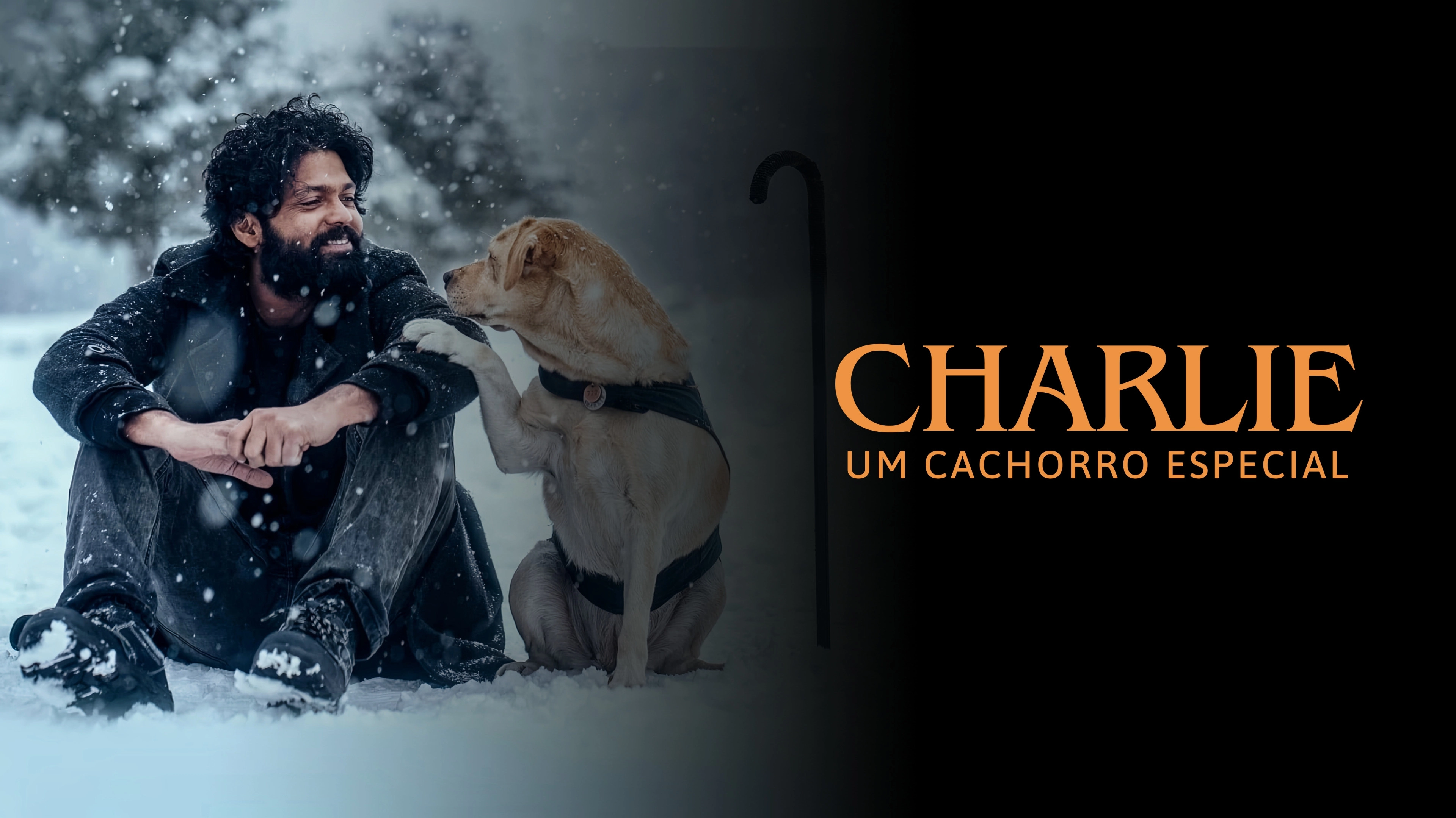 777 Charlie