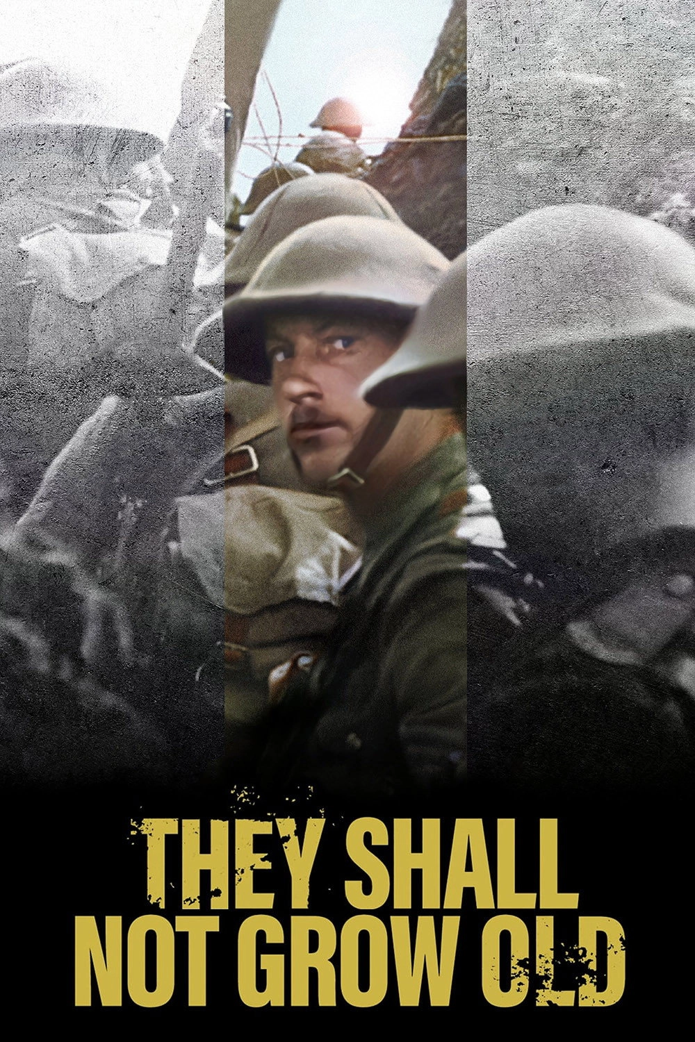They Shall Not Grow Old