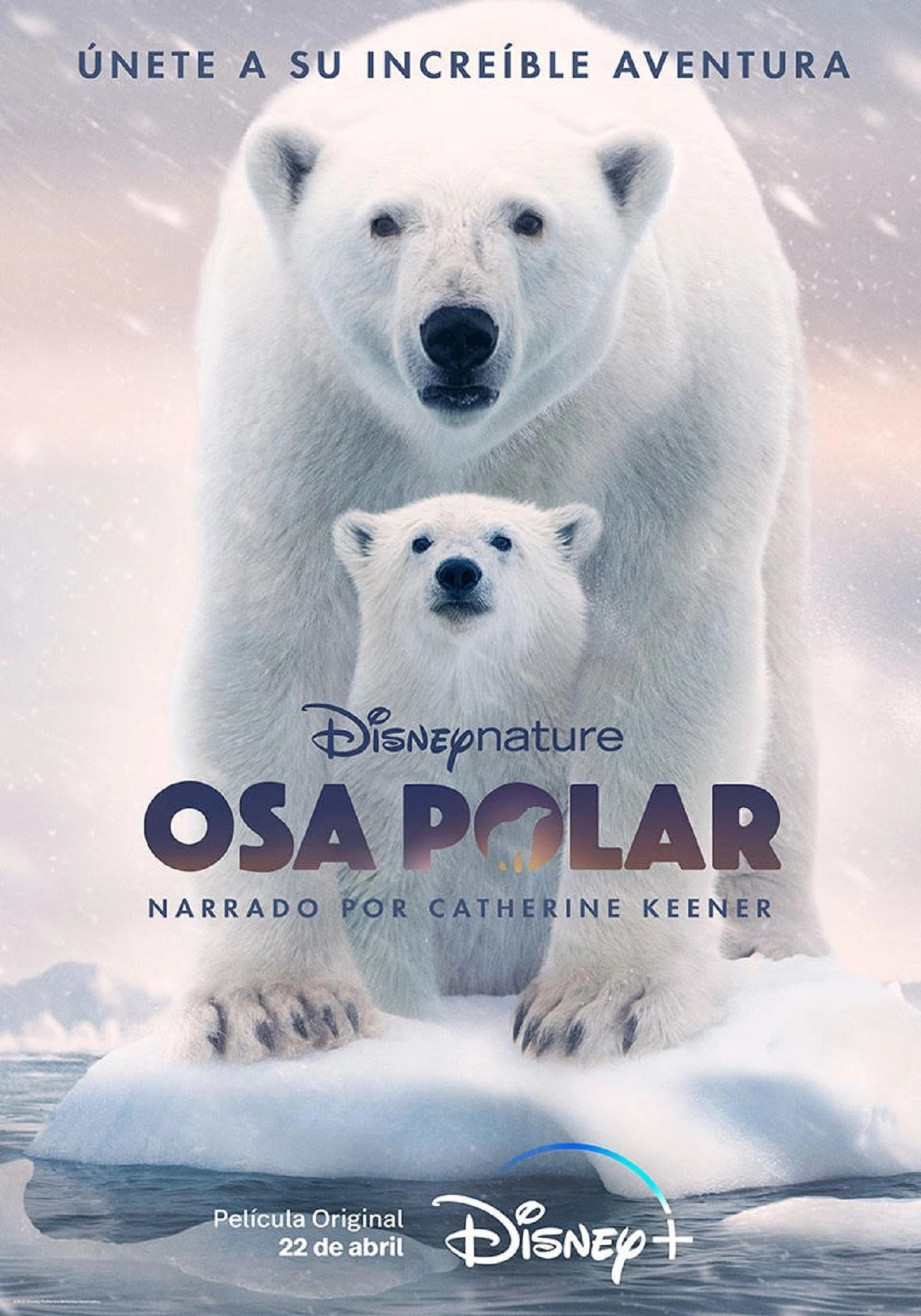 Polar Bear
