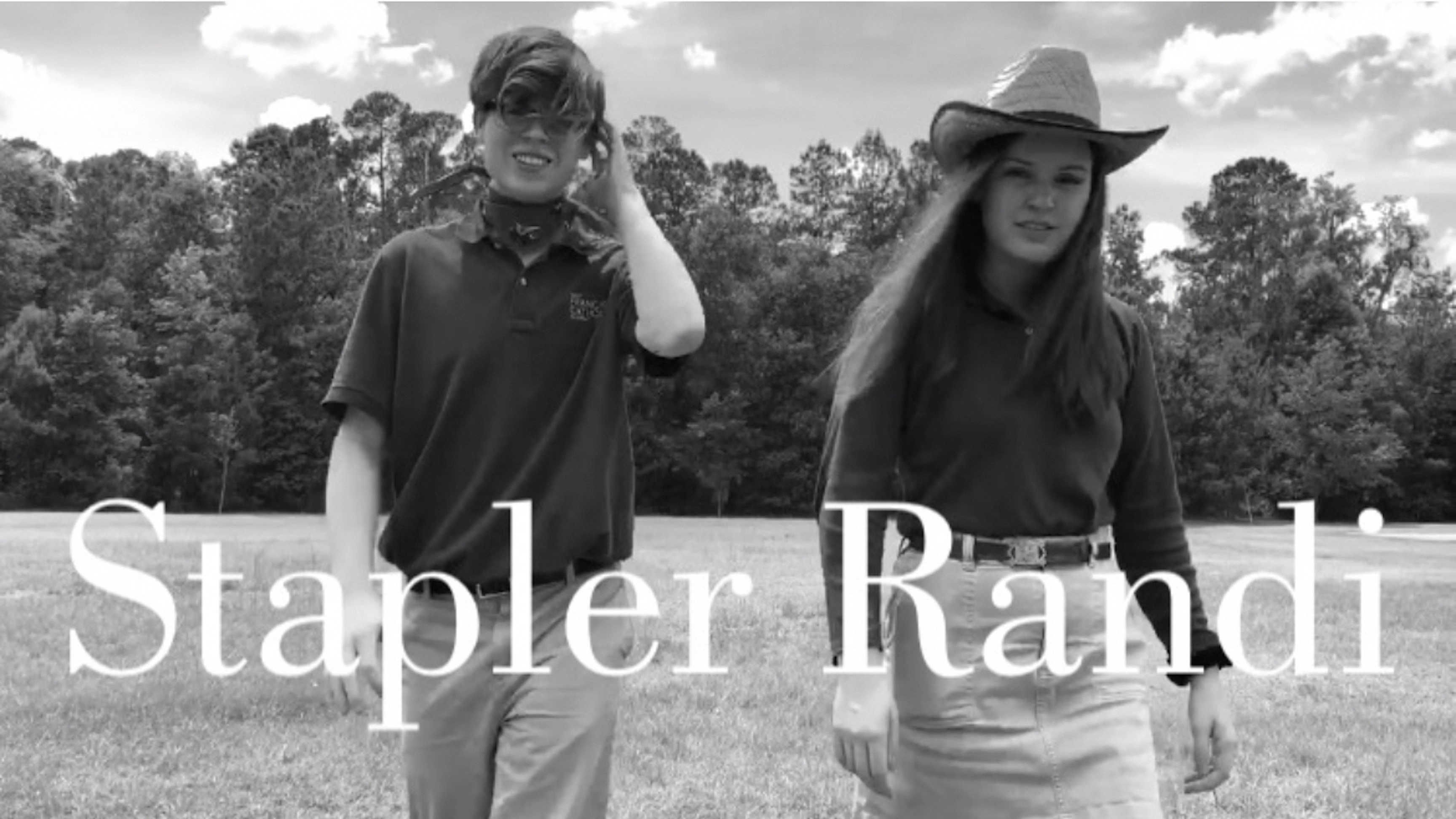 Stapler Randi