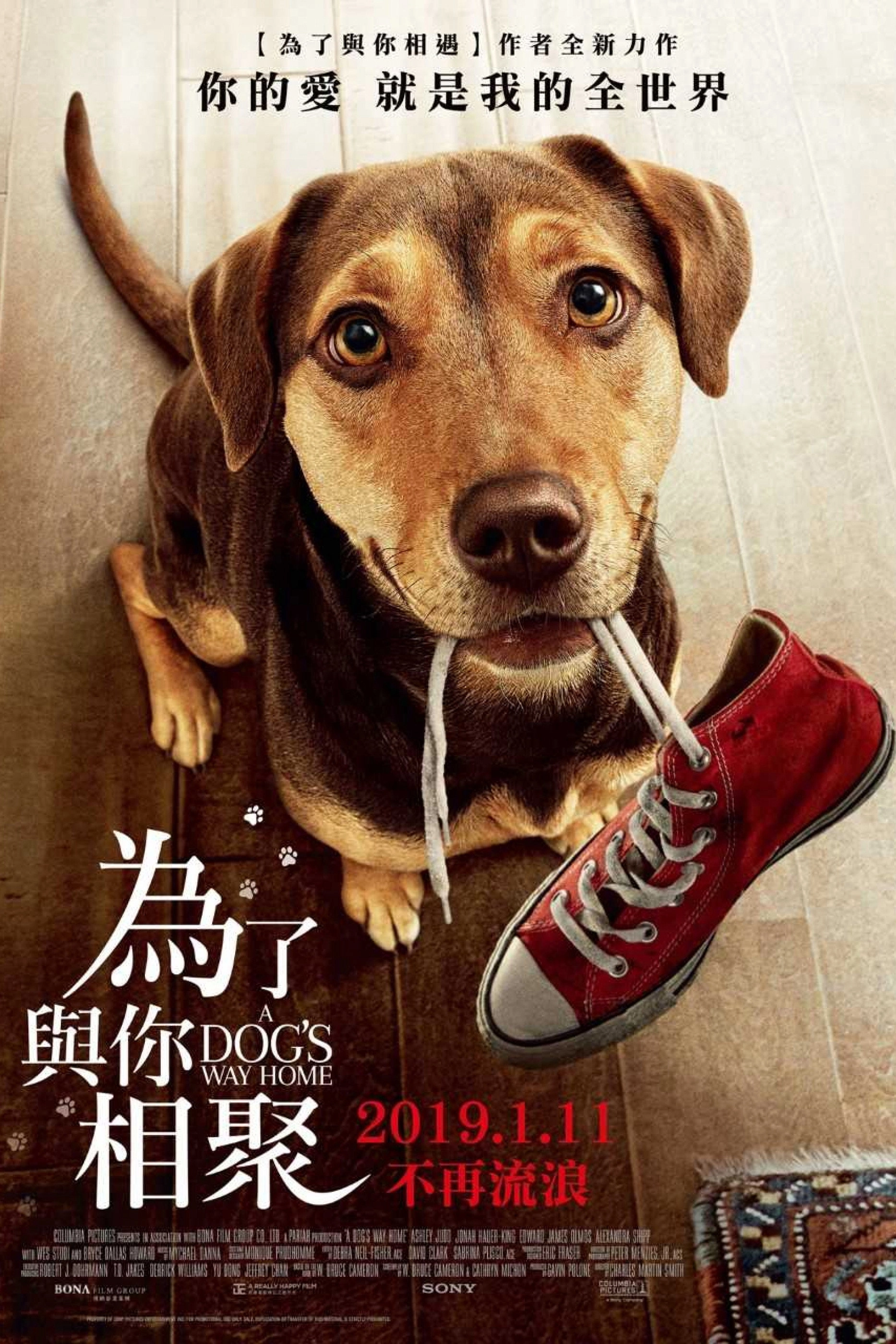 A Dog's Way Home