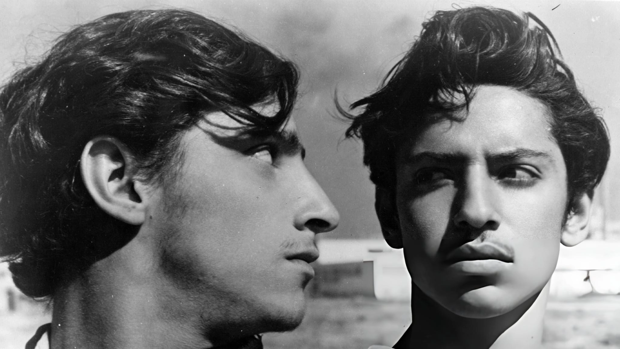 The Young and the Damned