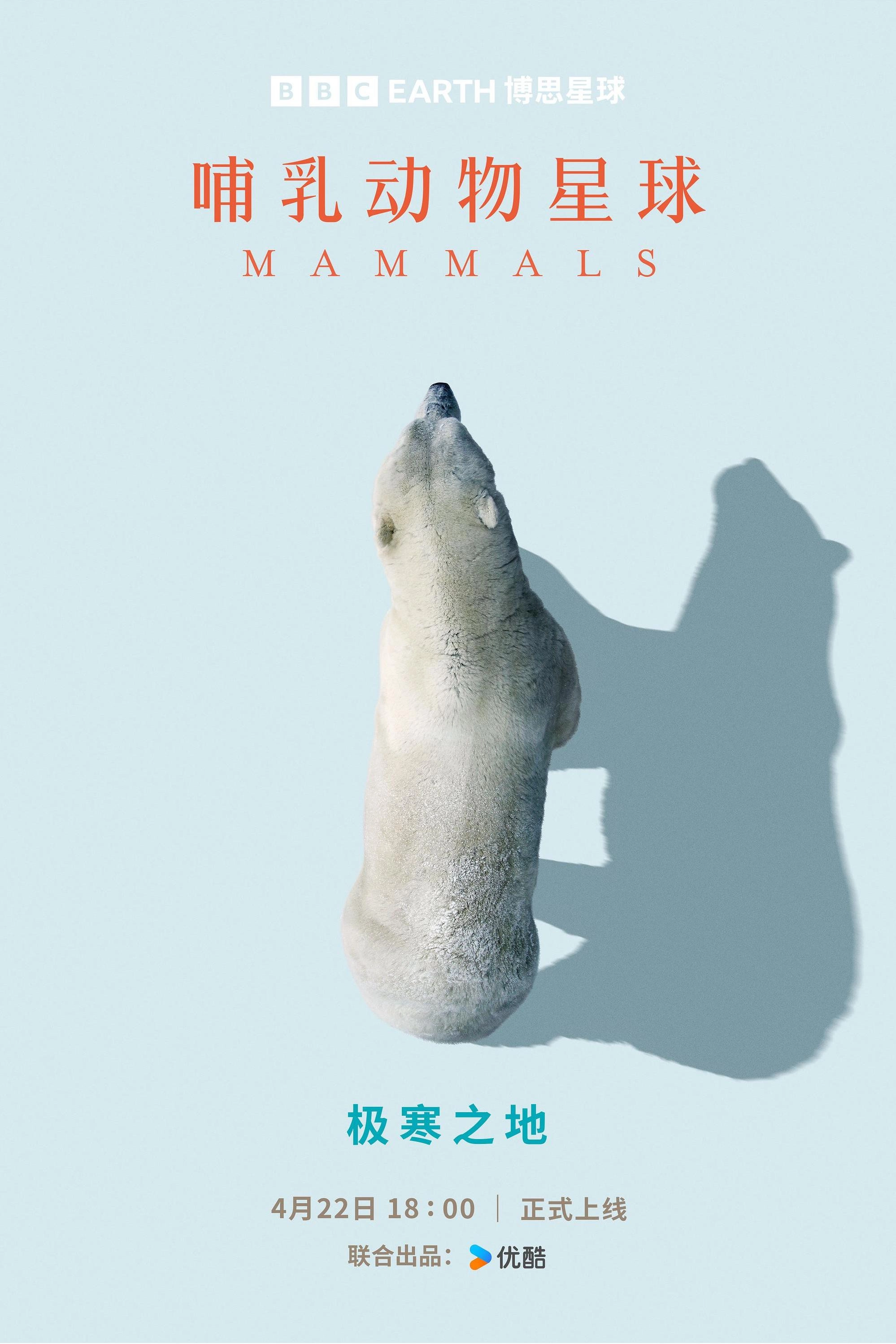 Mammals