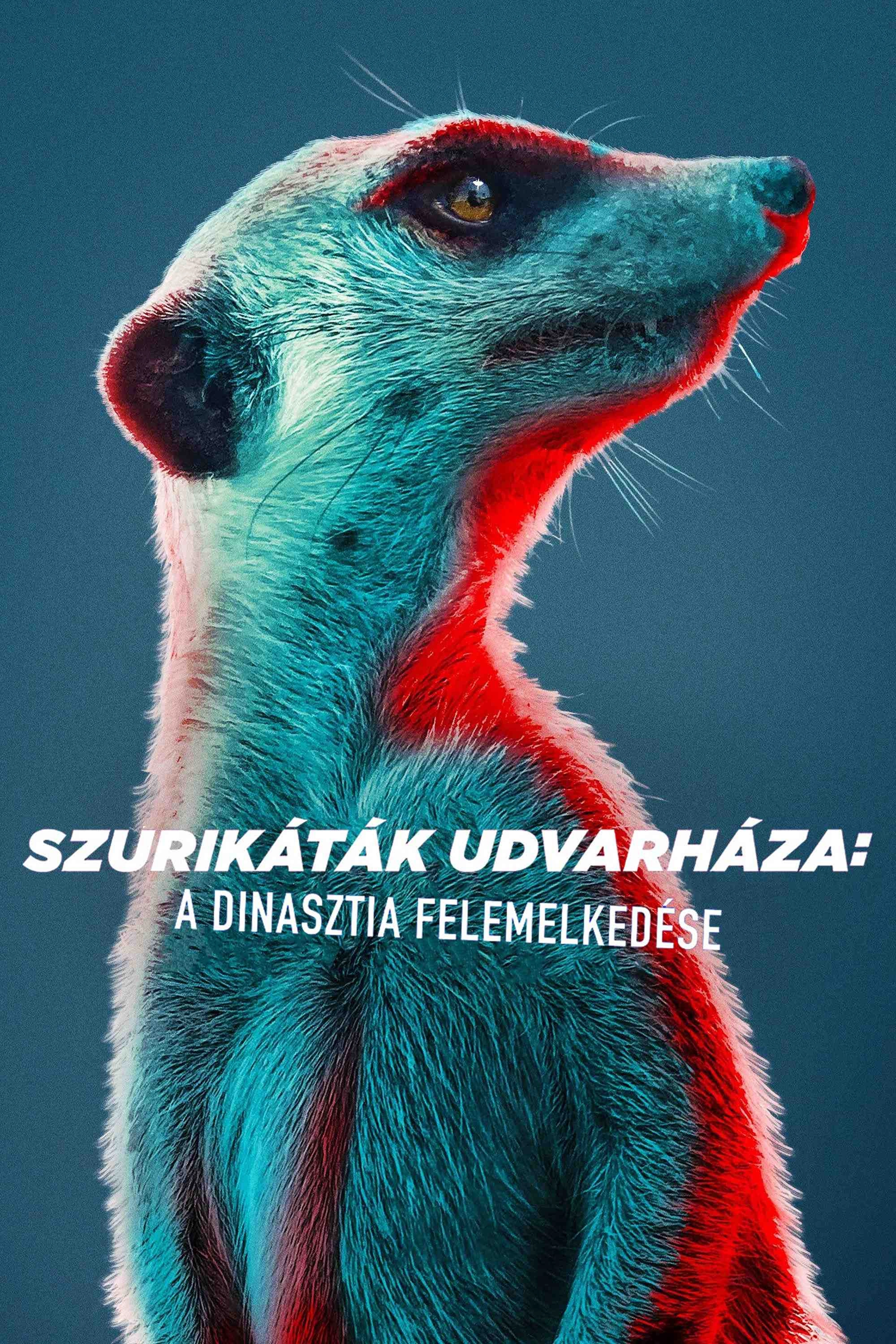 Meerkat Manor: Rise of the Dynasty