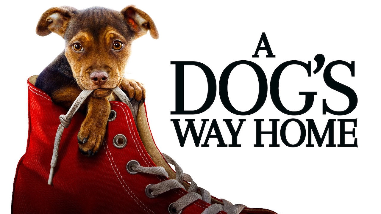 A Dog's Way Home