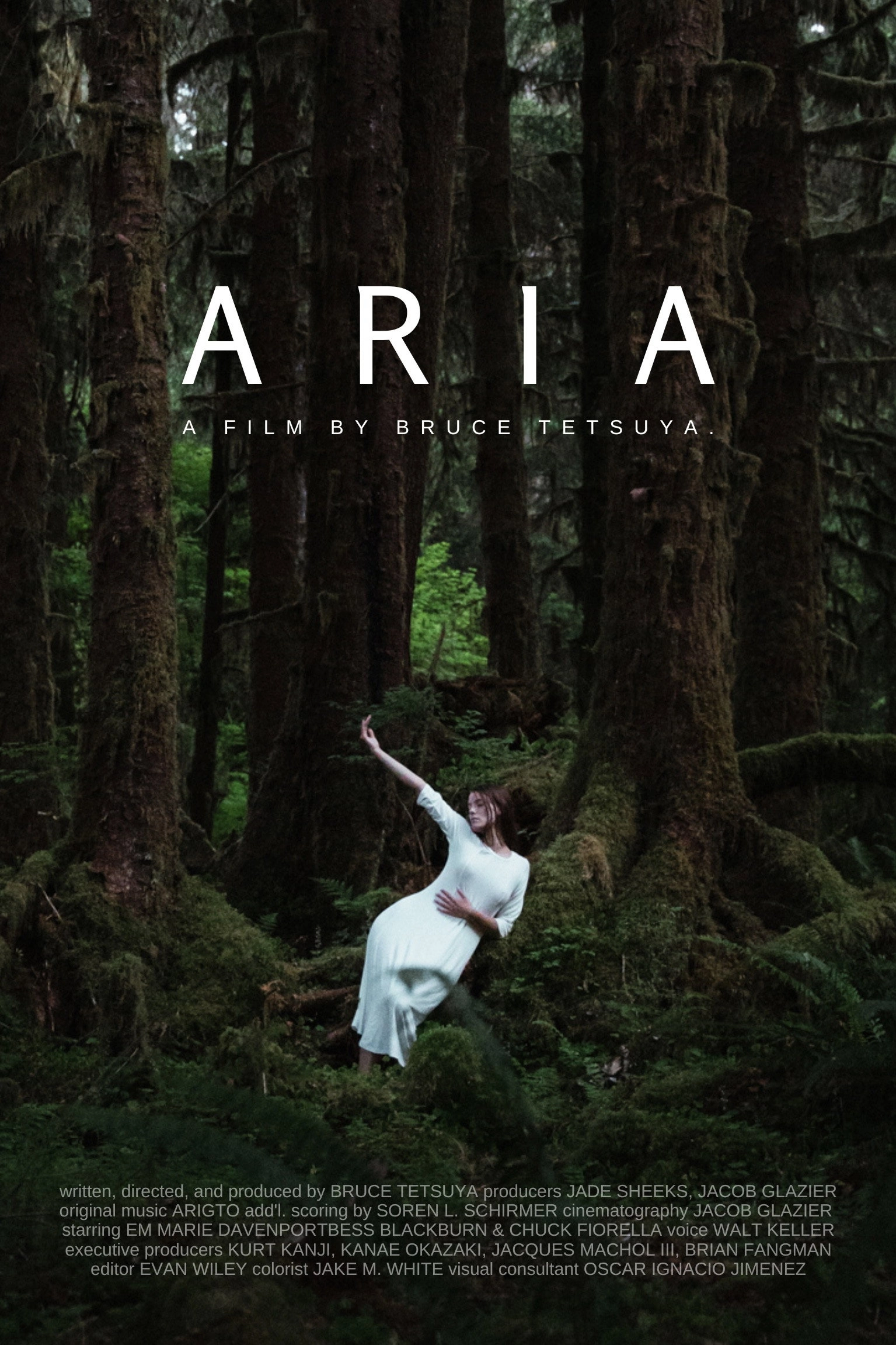 Aria