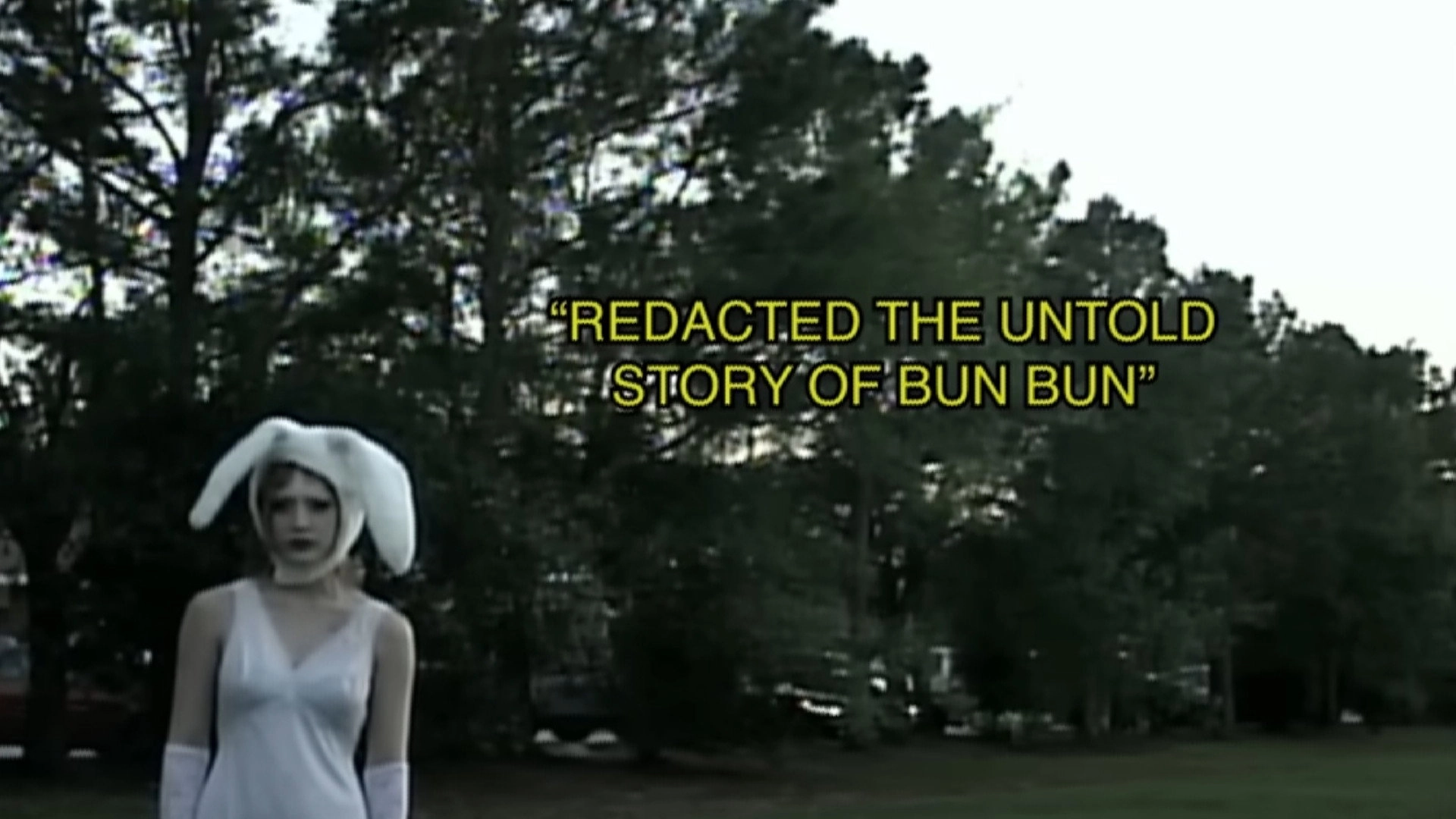 Redacted - The Untold Story of Bun Bun