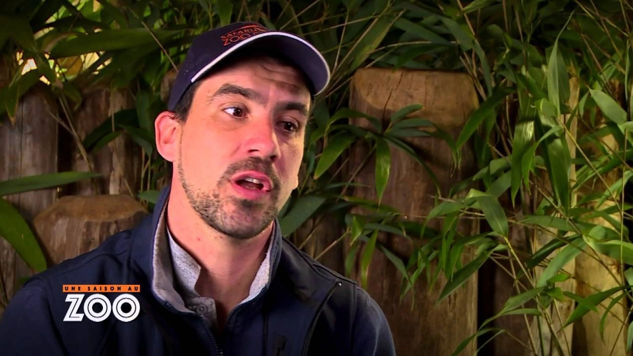 Une saison au zoo
