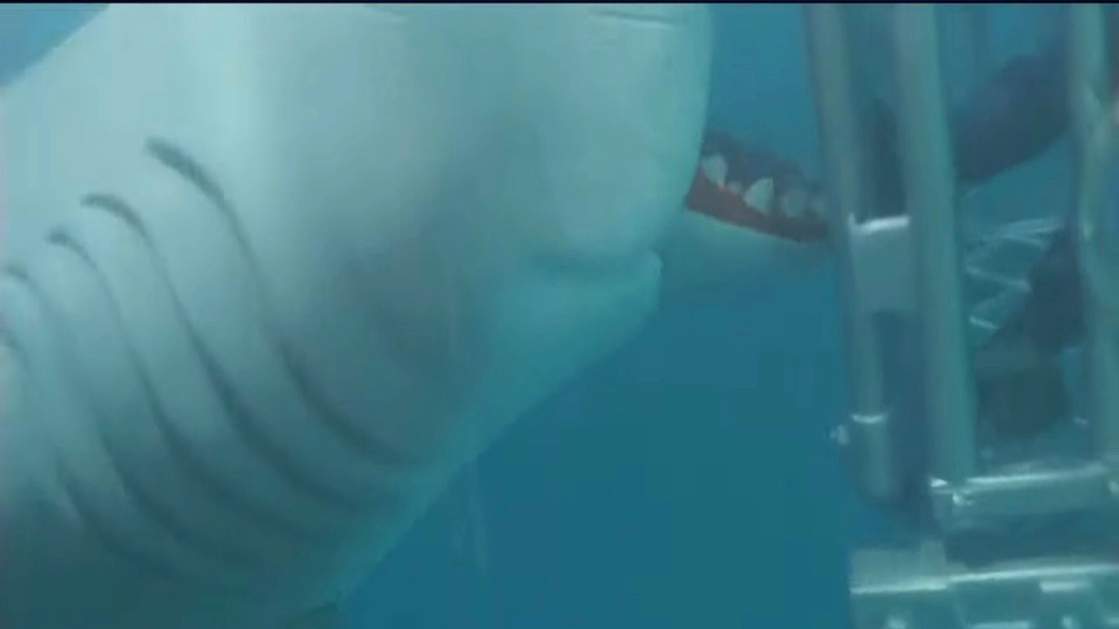 Jaws Toy Movie