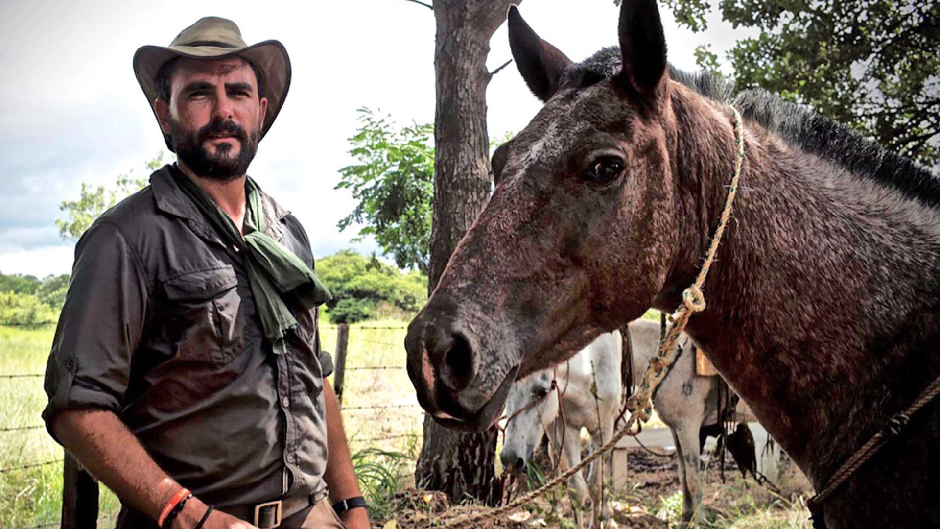 Walking the Americas