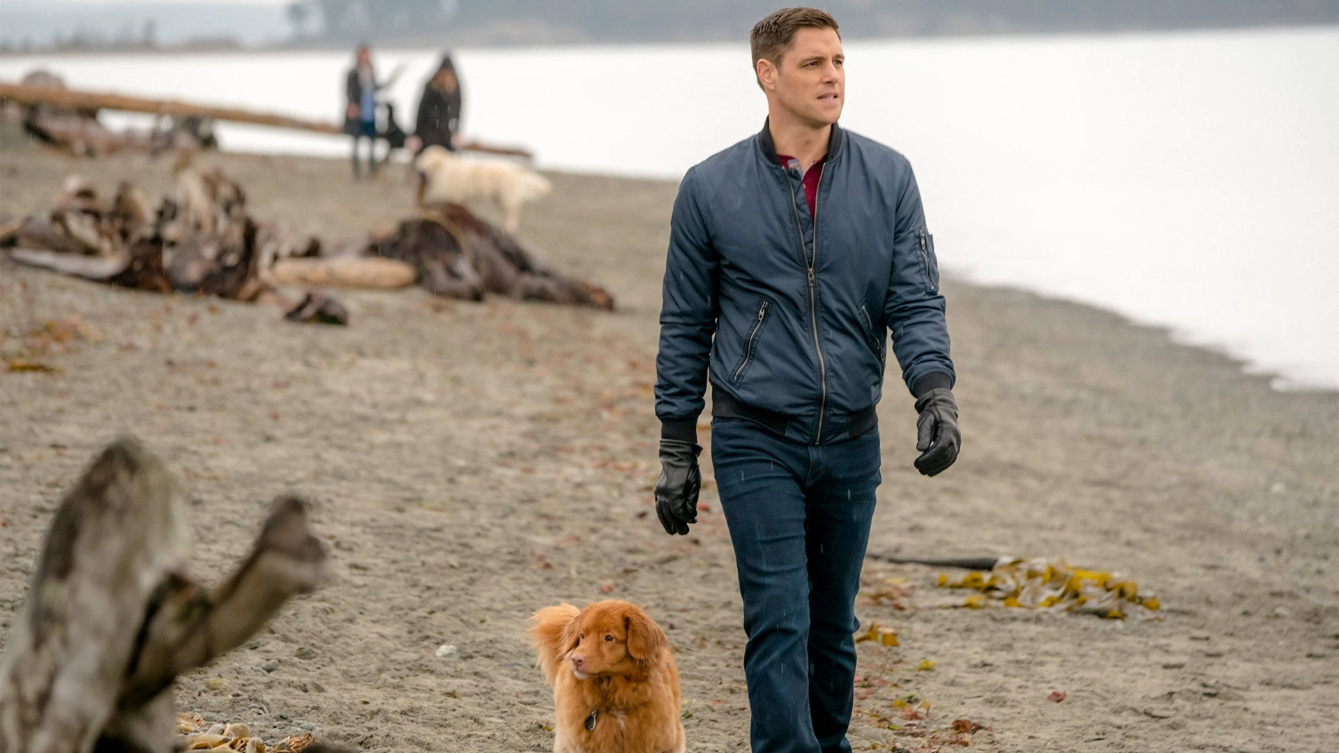 Walking the Dog