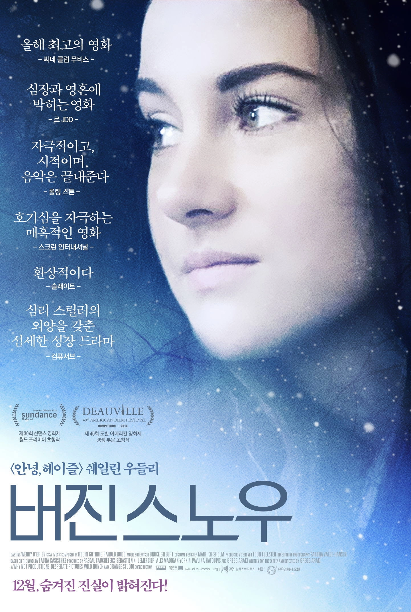 White Bird in a Blizzard