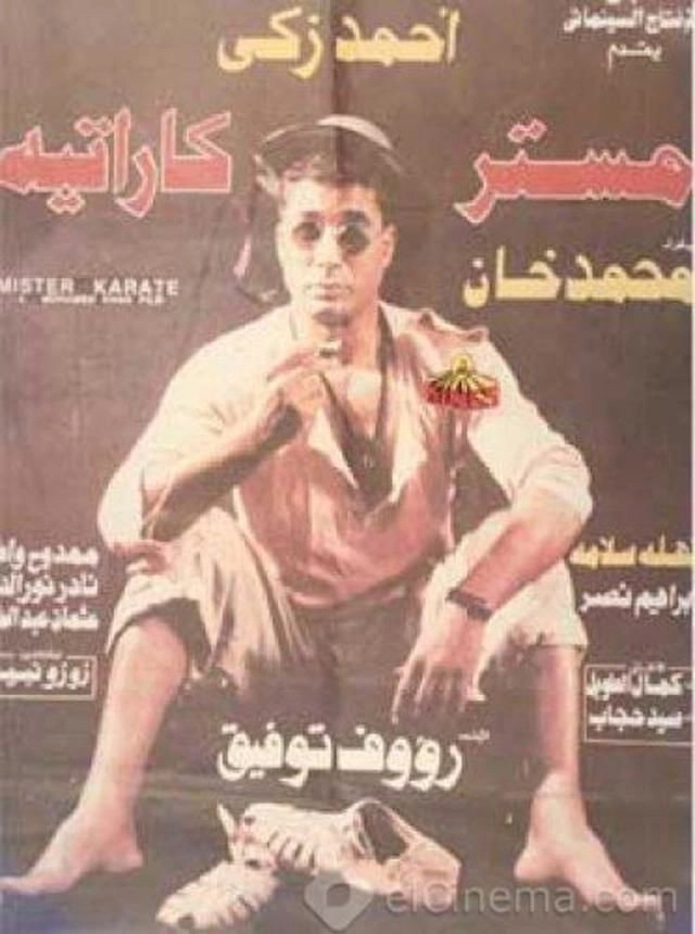 Mr. Karate
