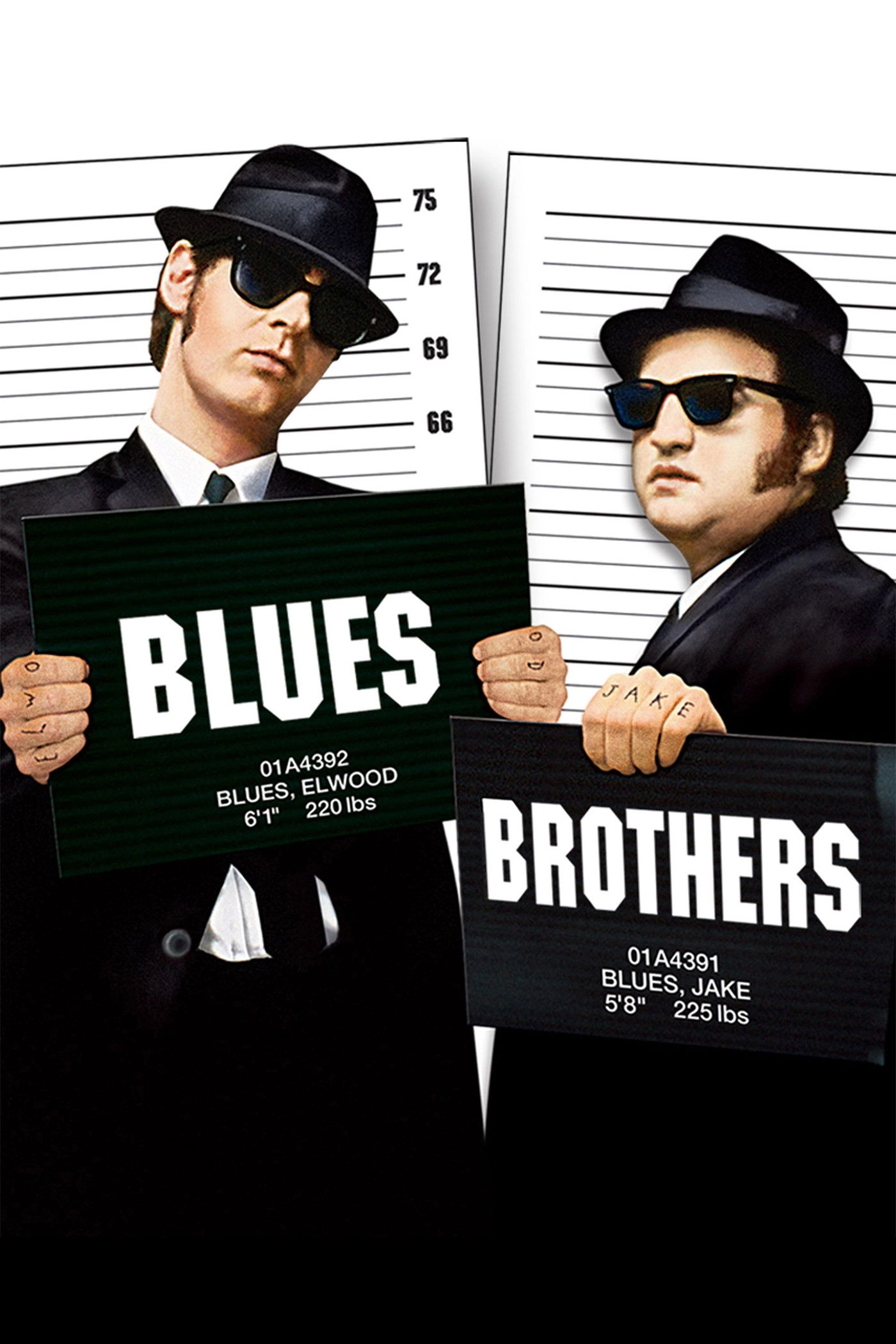 The Blues Brothers