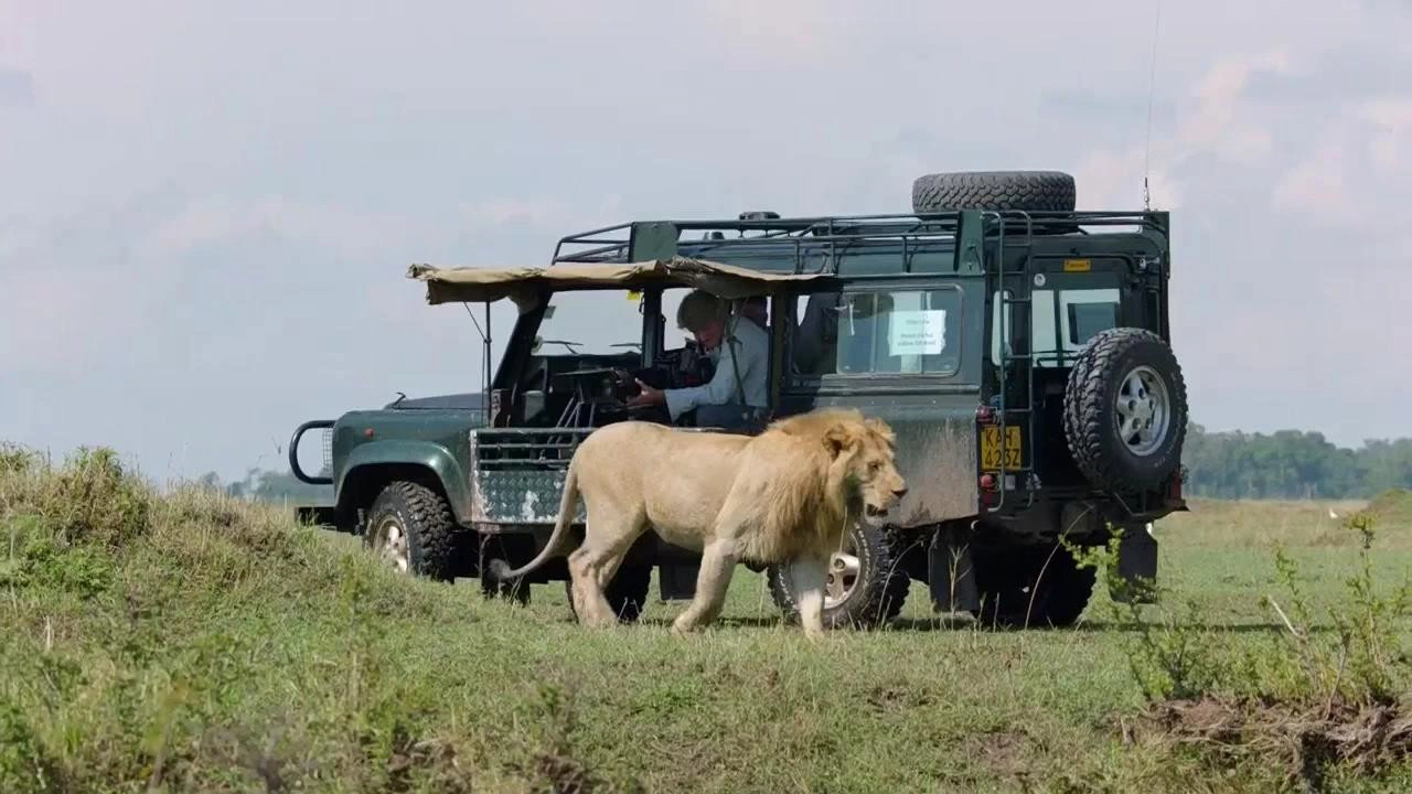Dynasties